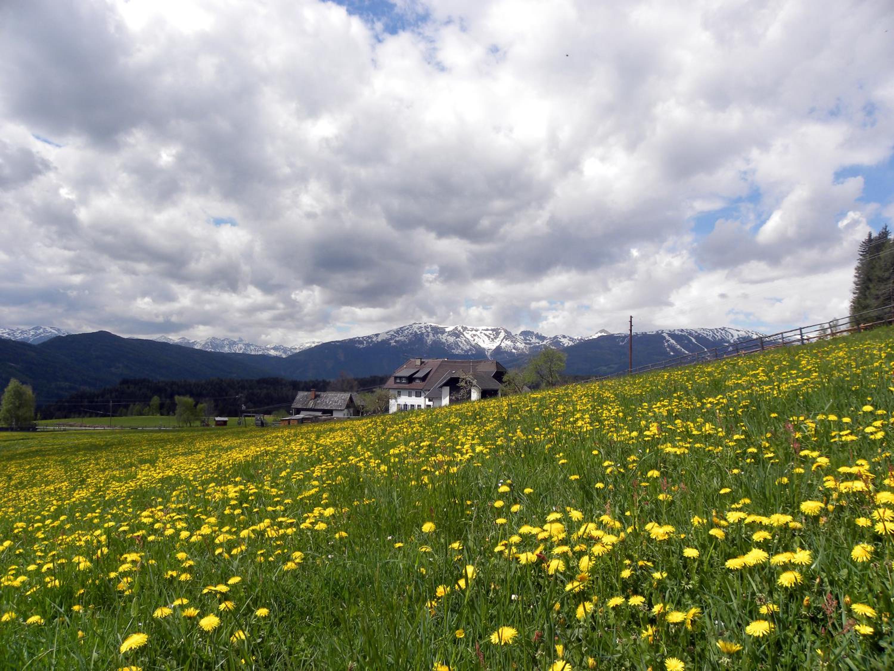 Polzhof