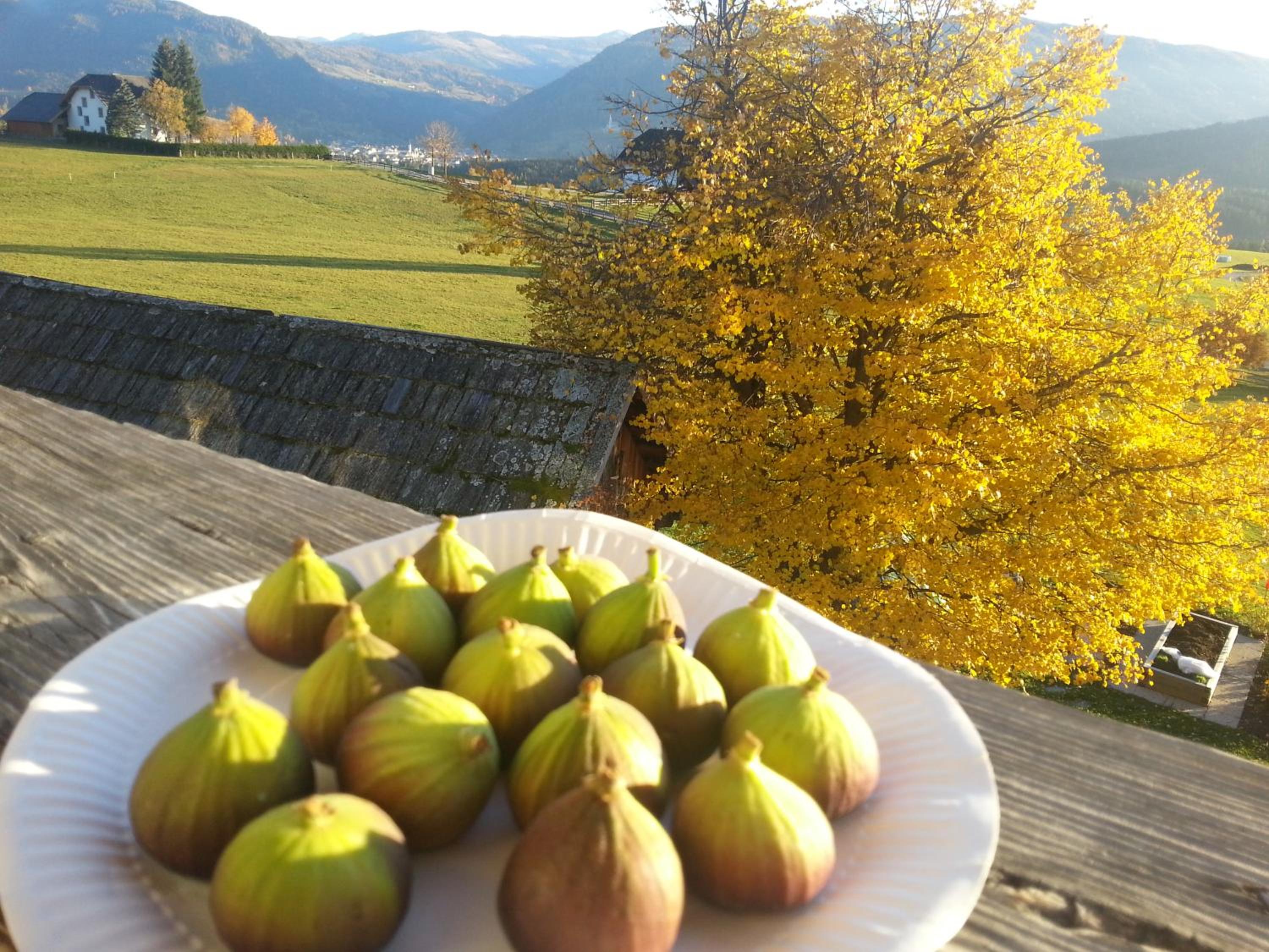 Polzhof