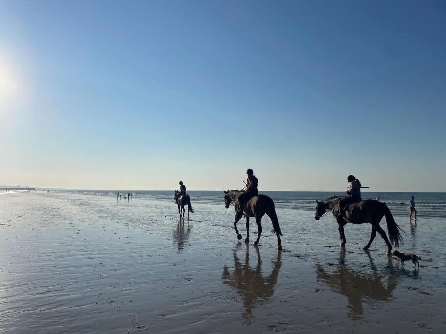 Scandi Beach