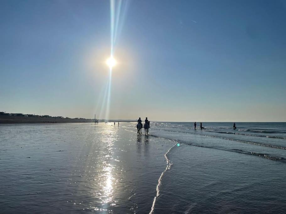 Scandi Beach