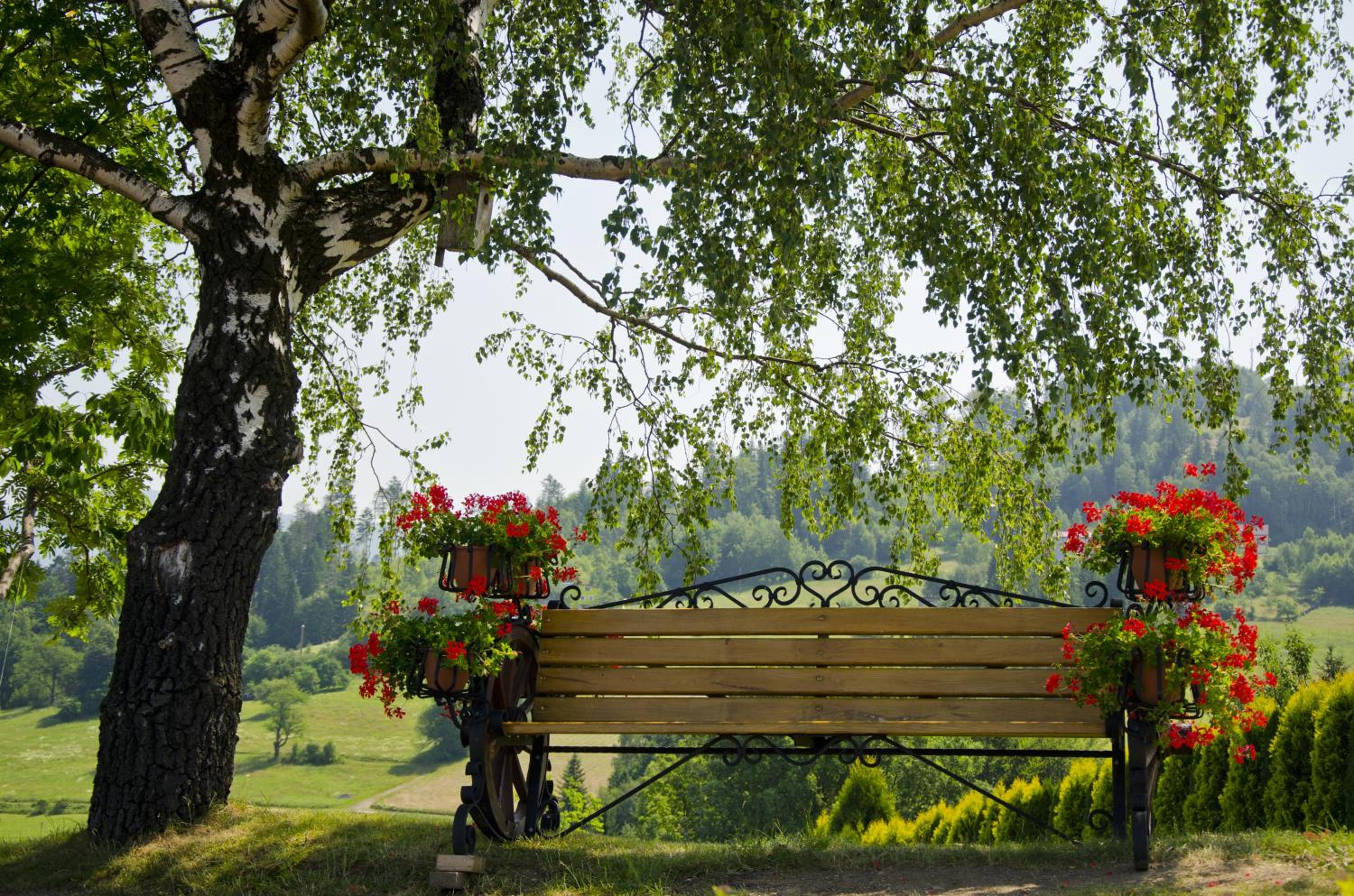 Karolowy Dwór - Mountain Spa & Relax view 3
