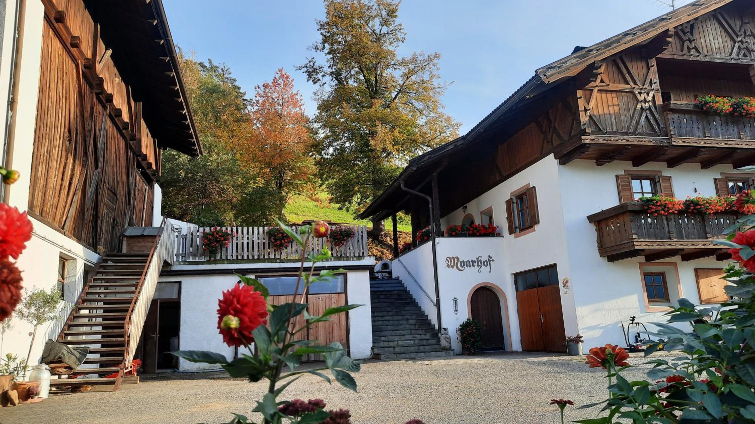 Moarhof Gufidaun