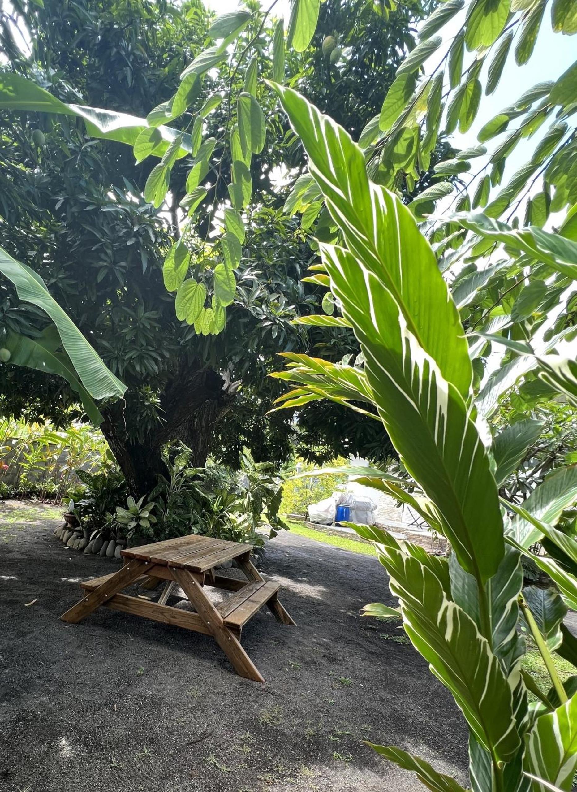 Pension pare lodge