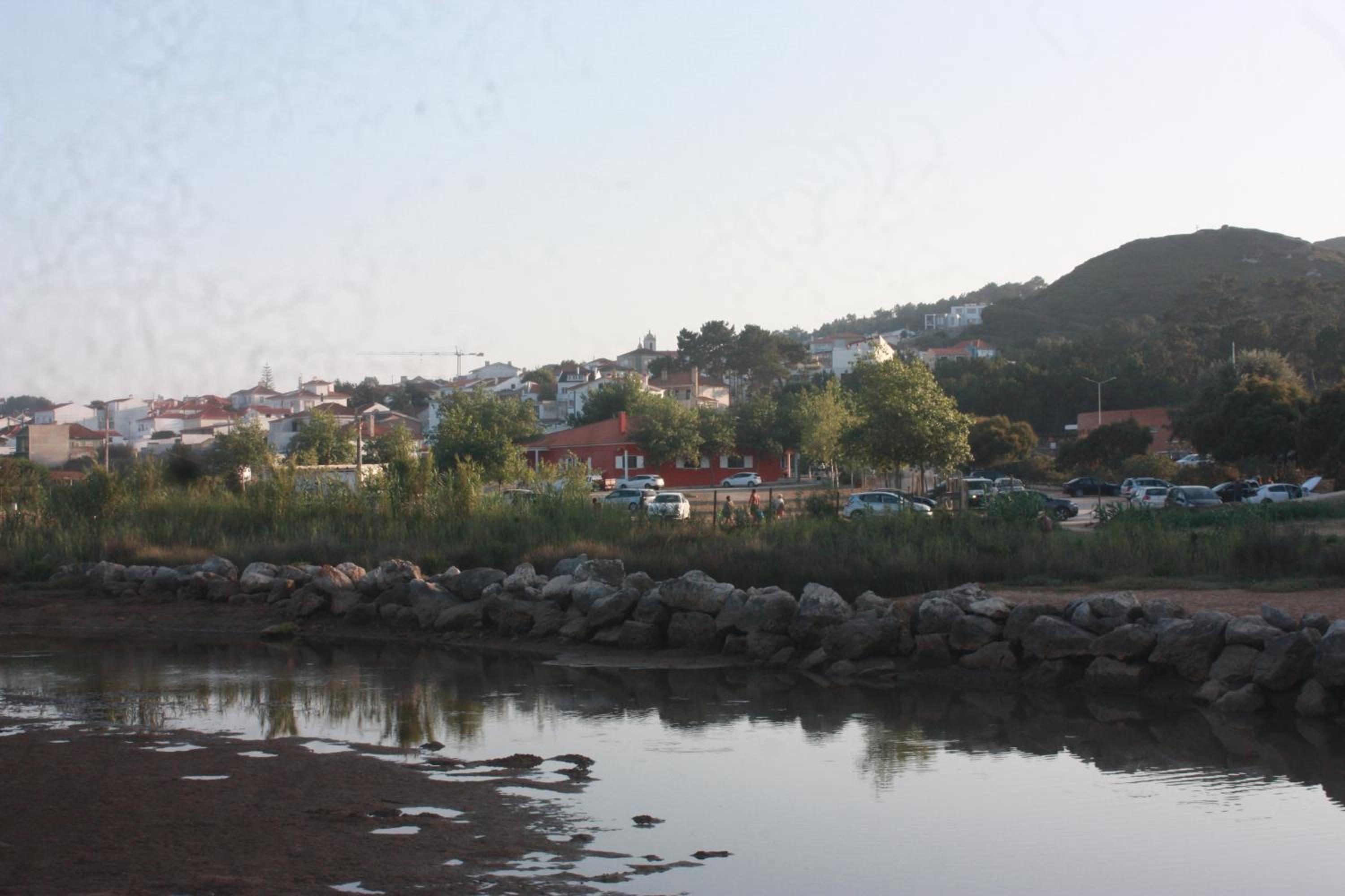 Photo 43