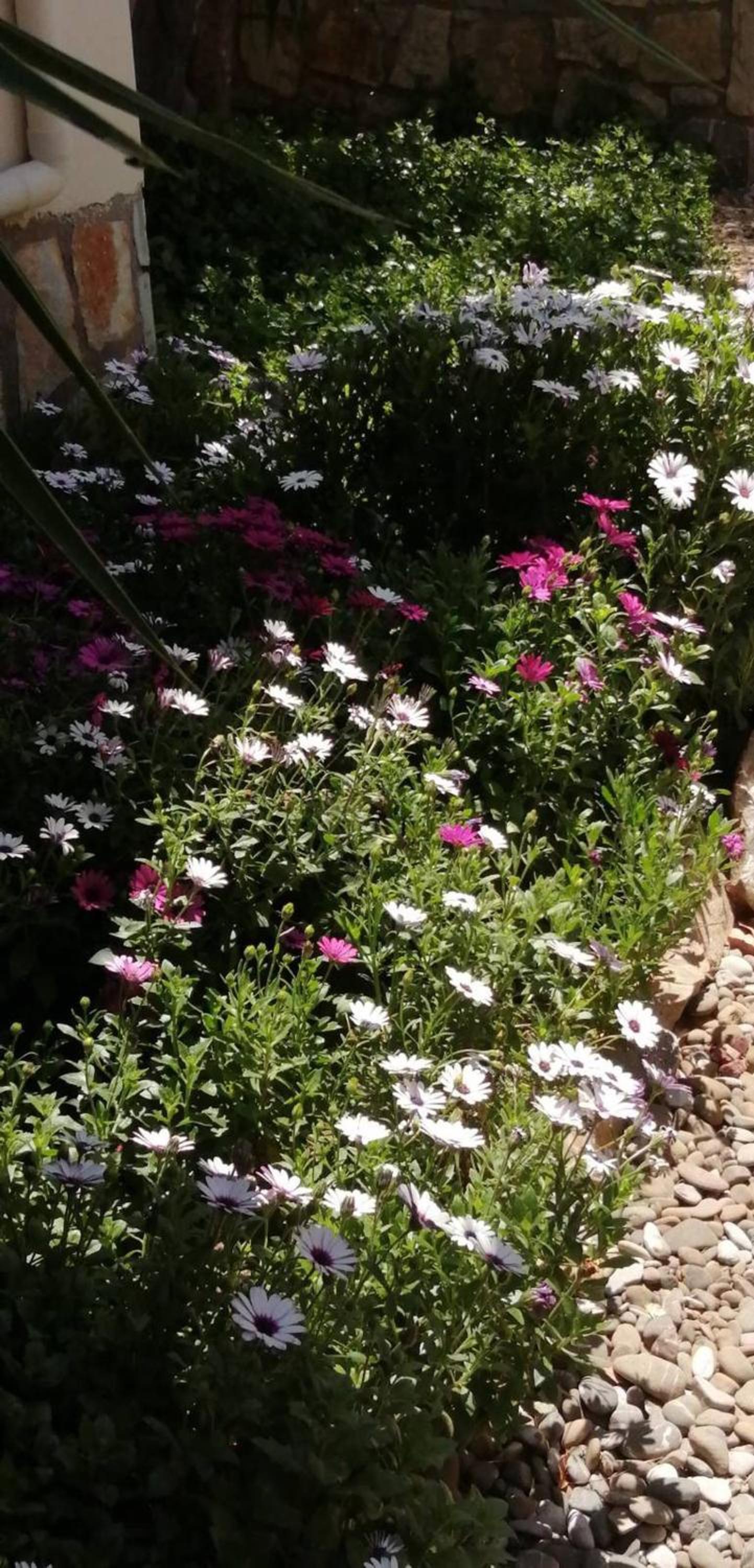 Photo 34