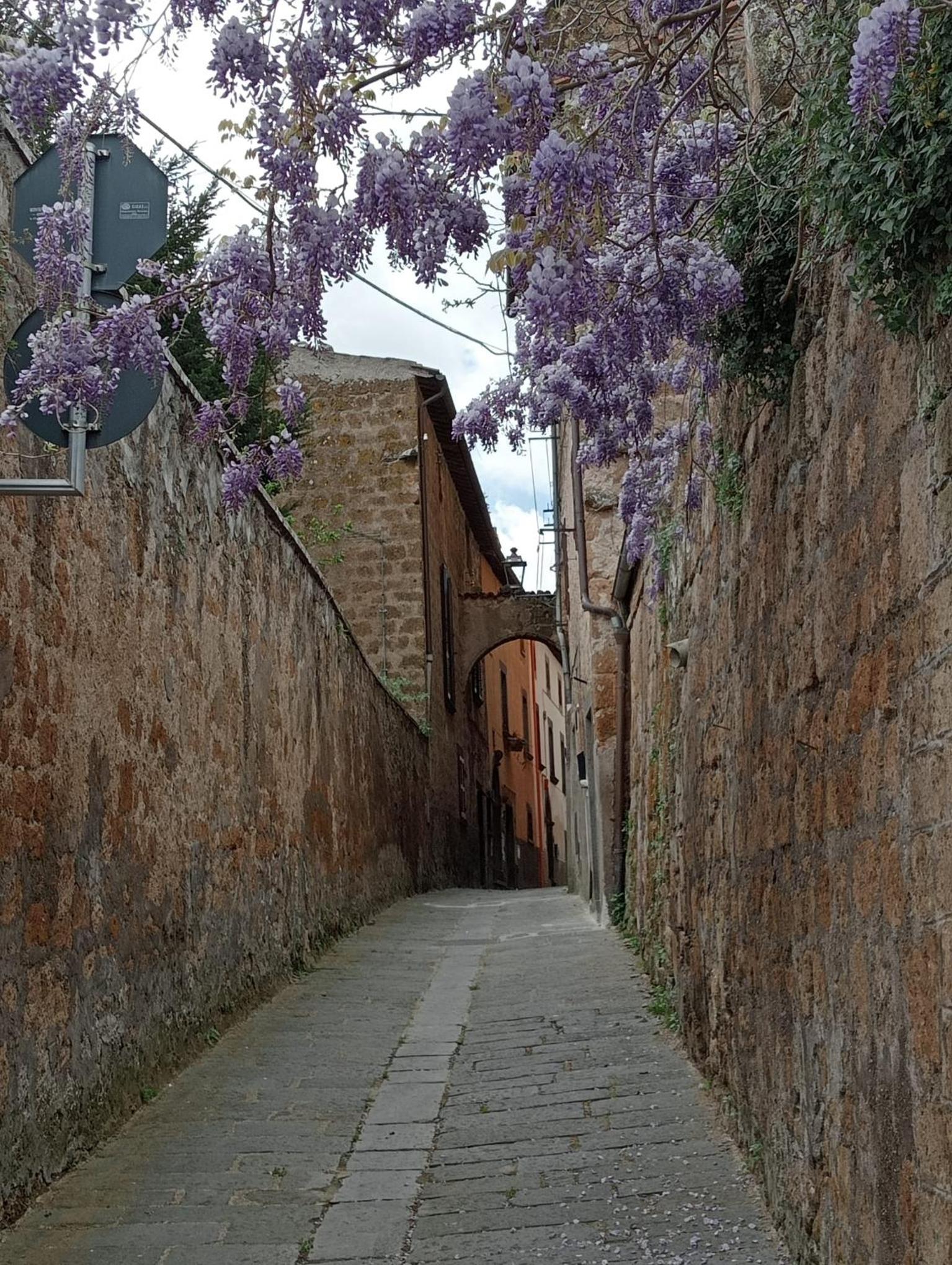 Il Vantaggio photo 5