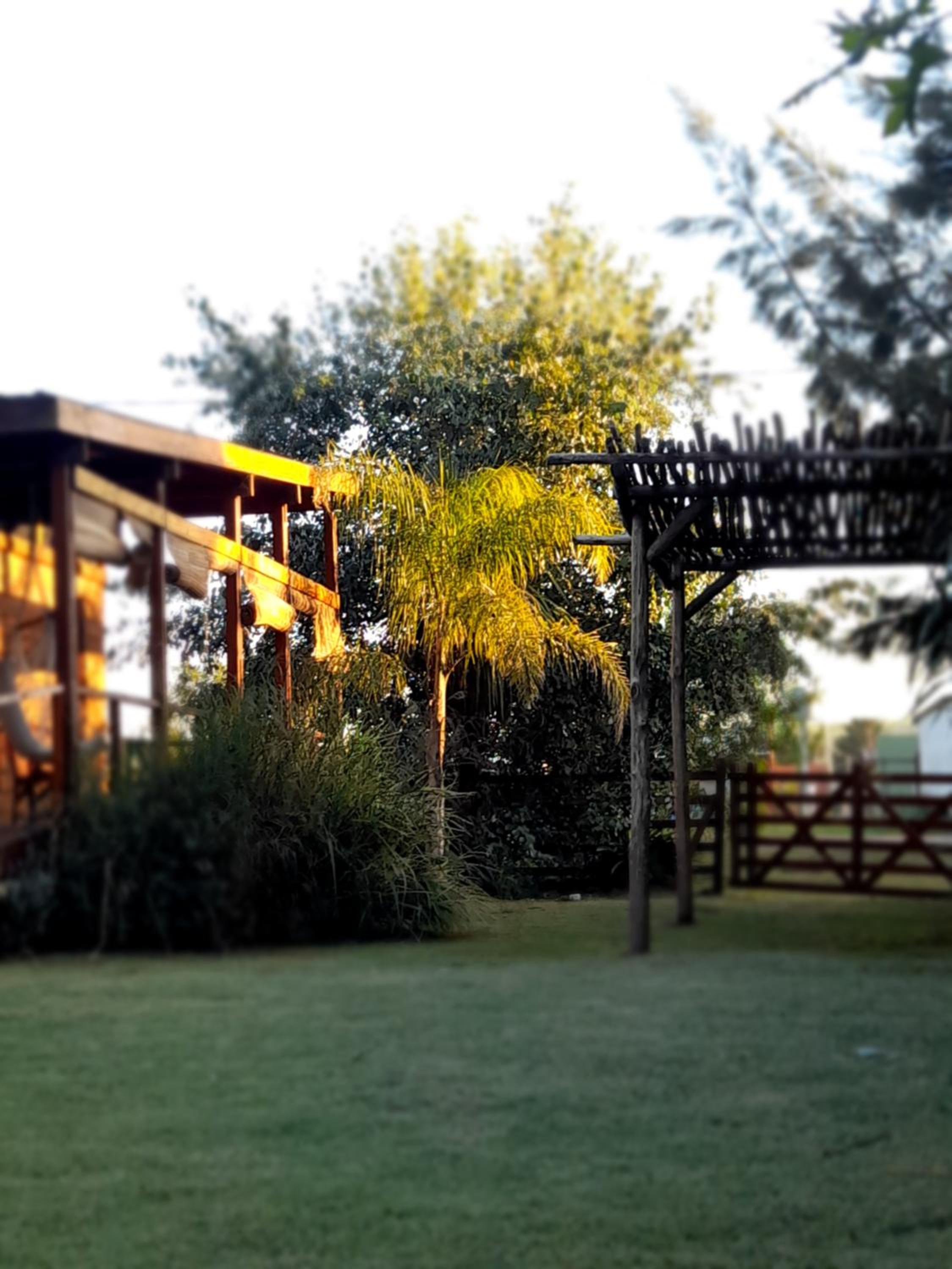 Cabaña en la Colina