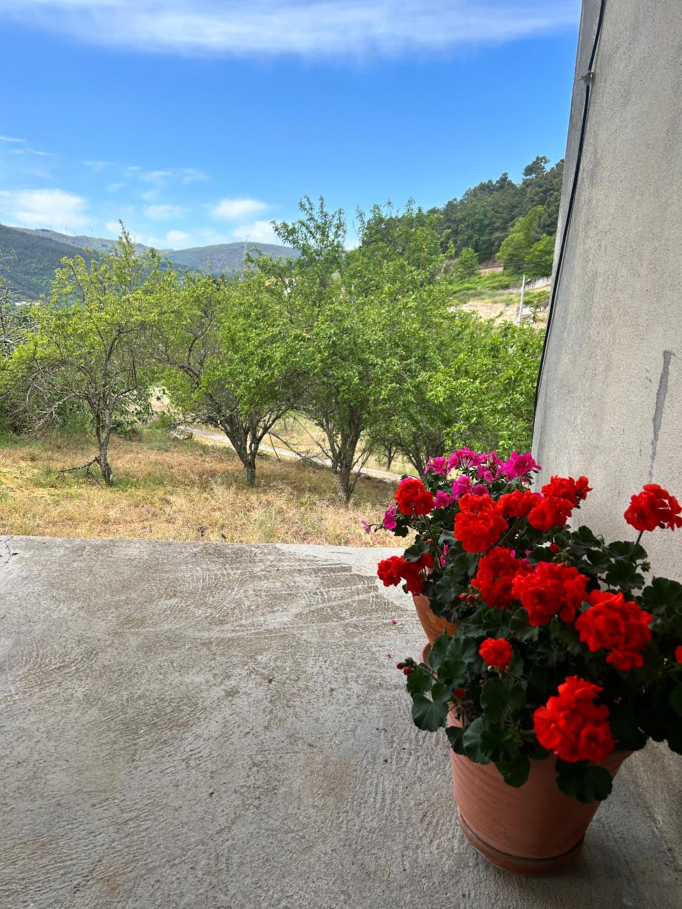 Casa Vicente view 2