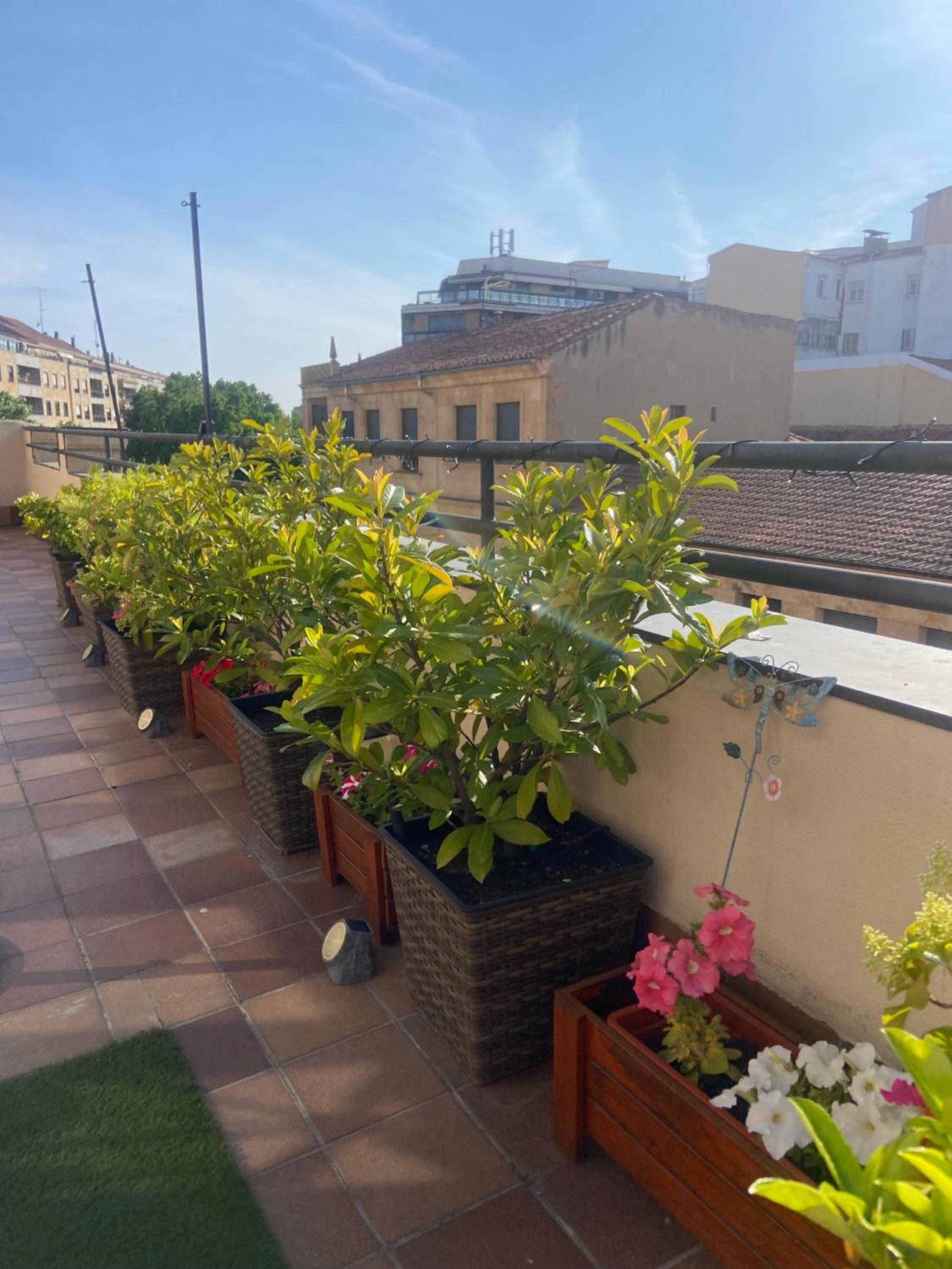 Ático Pta Zamora photo 2