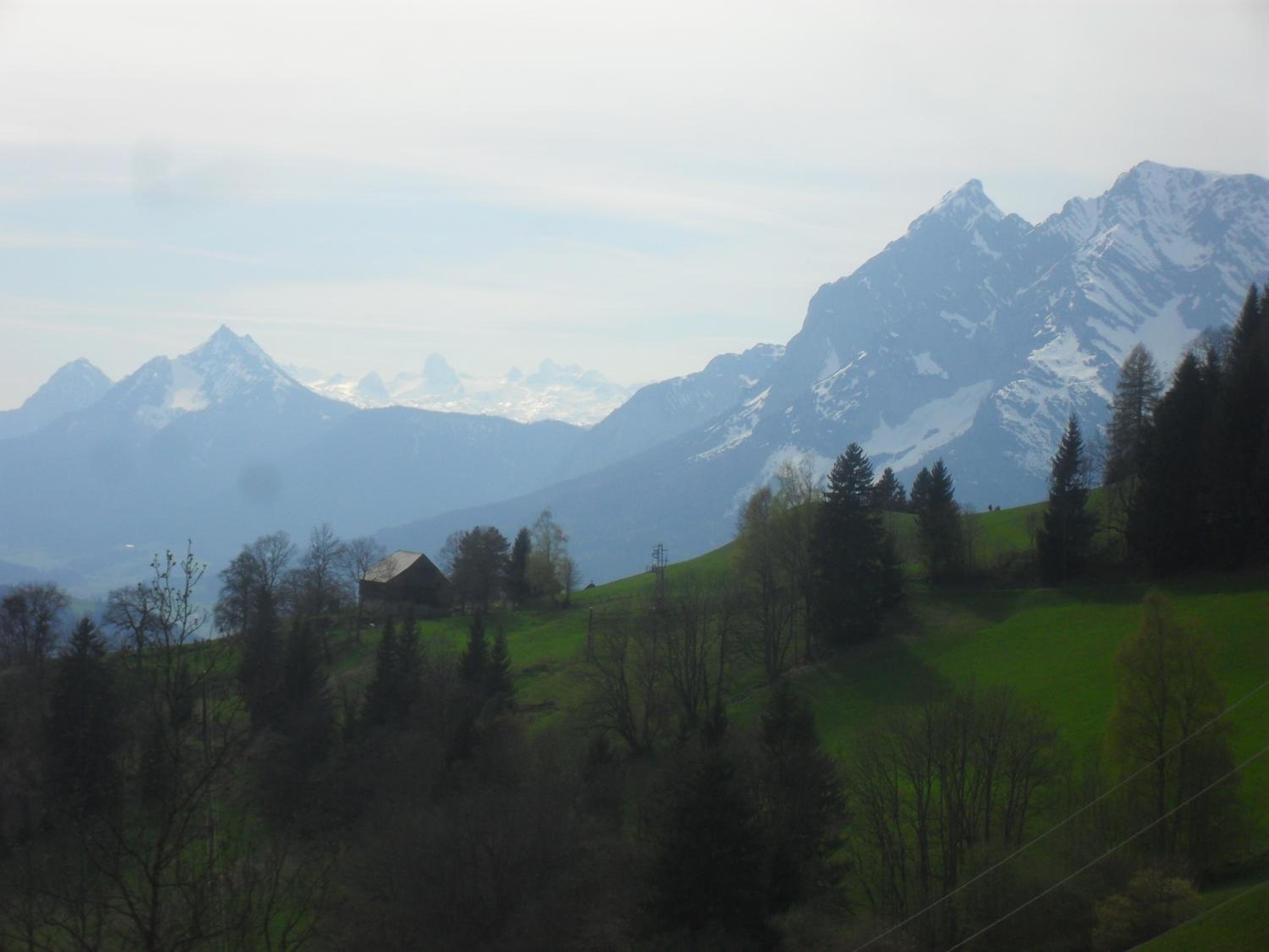 Bio-Bergbauernhof Möslhof