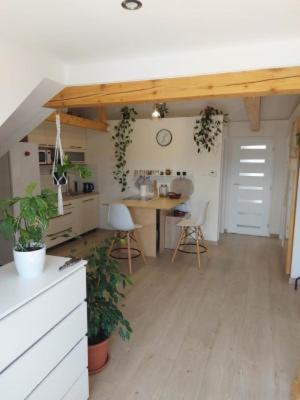 Apartman Barbara