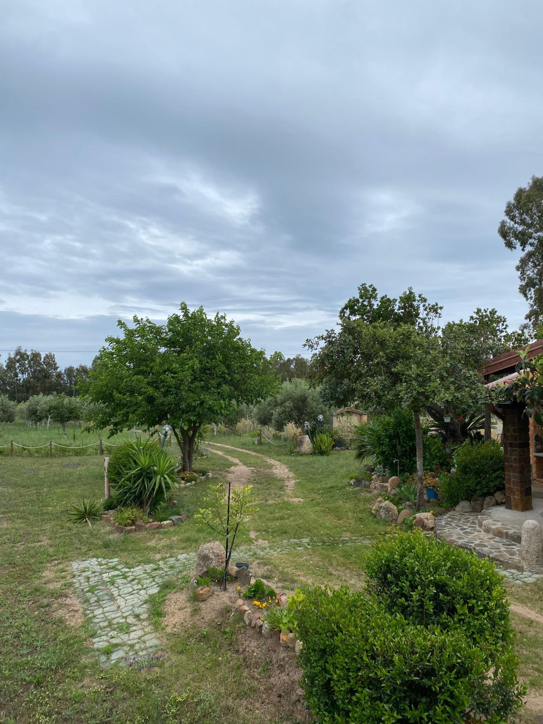 L'Uliveto HOLIDAY HOUSE