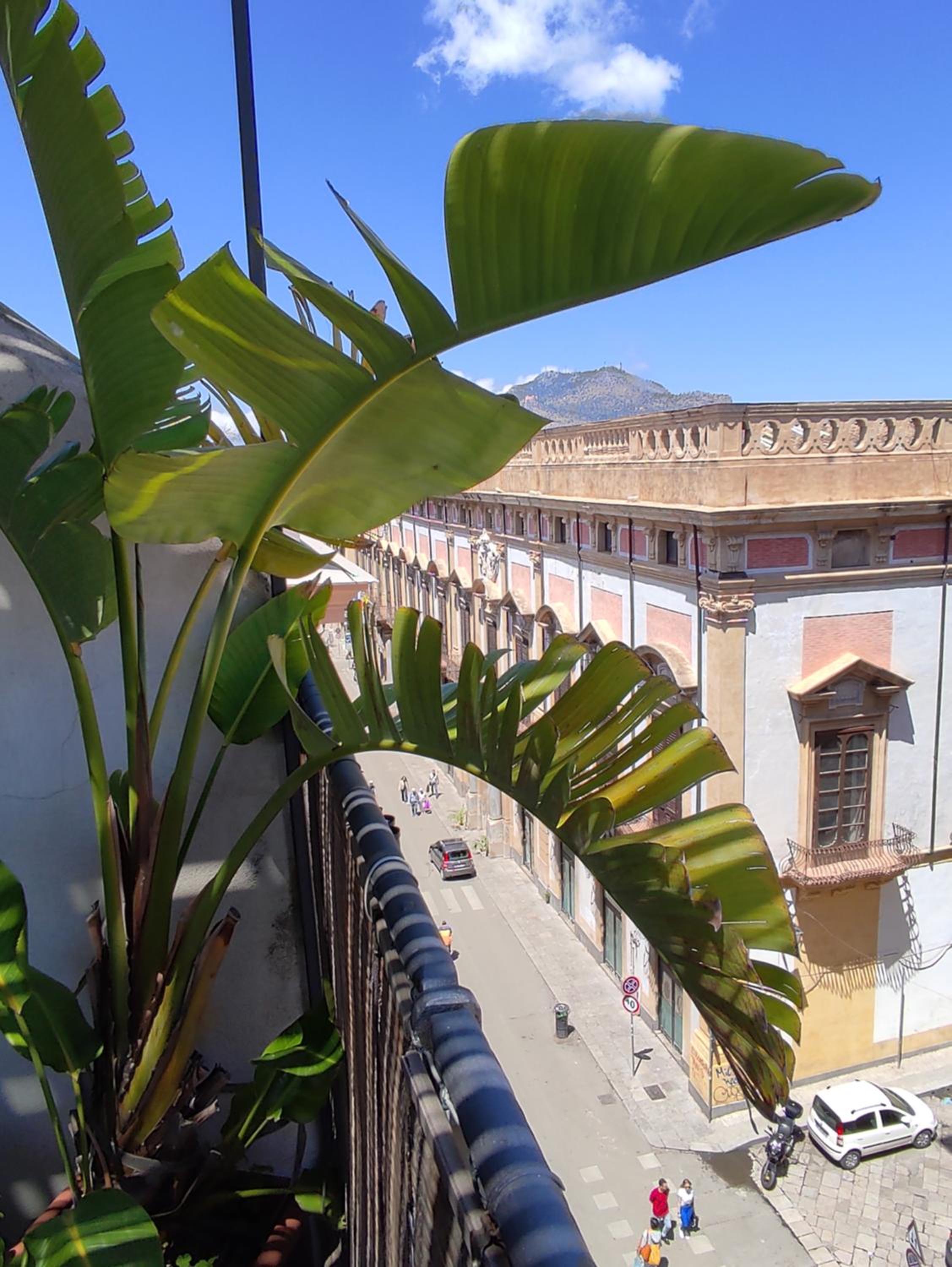 La Terrazza di Massimo en Palermo — balance & terrace