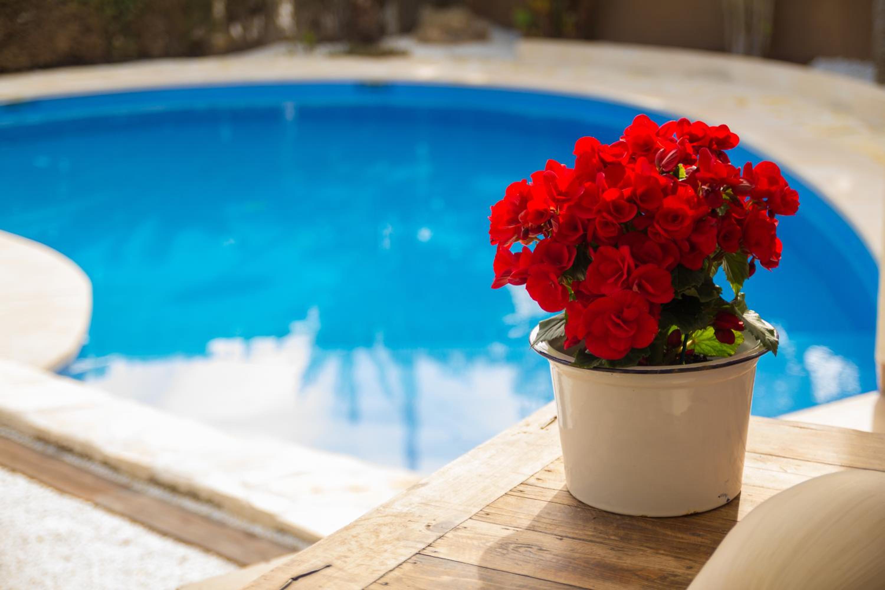 Azul Rentals Villa Albir