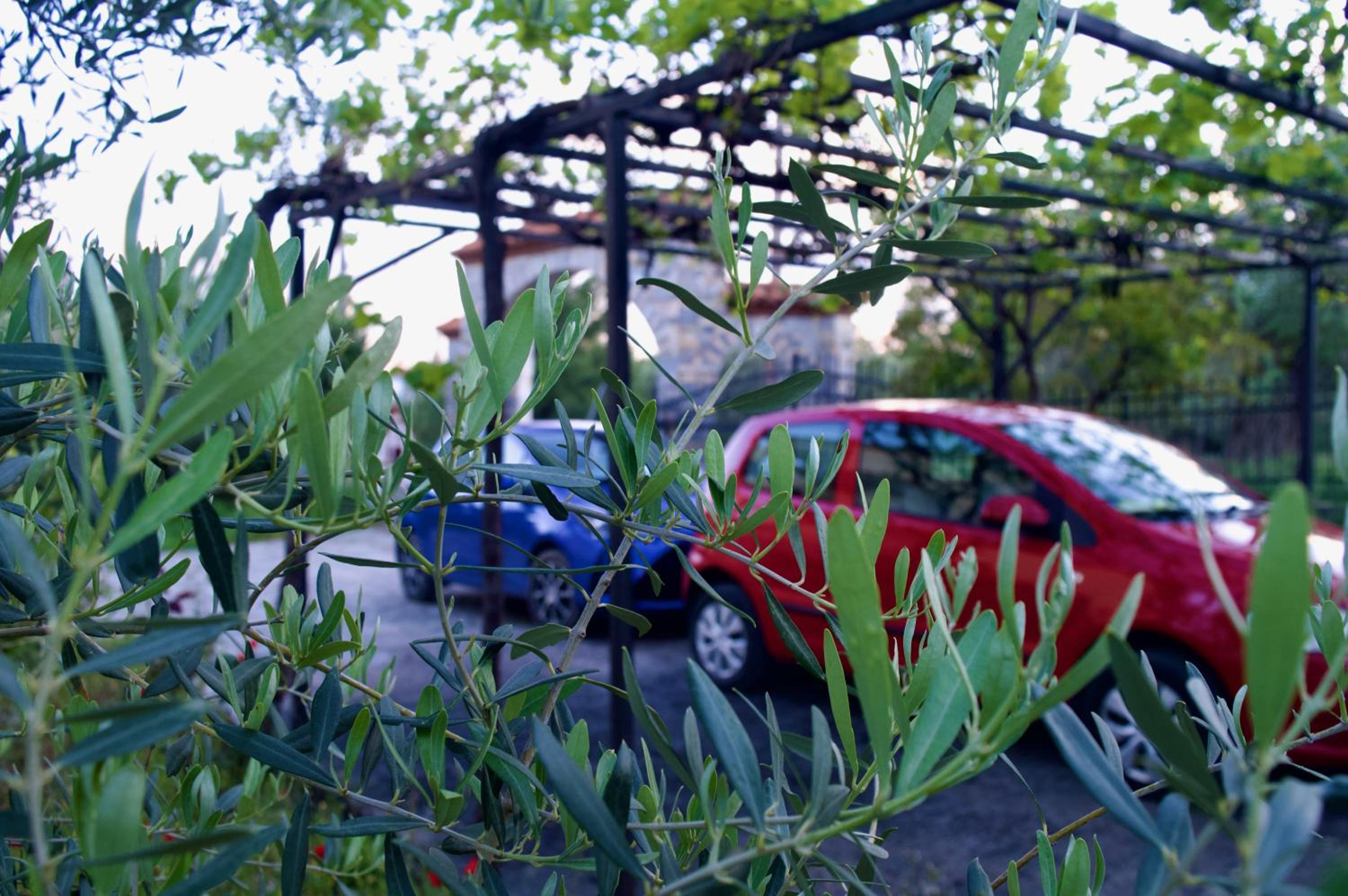 Vasiliki's Apartment