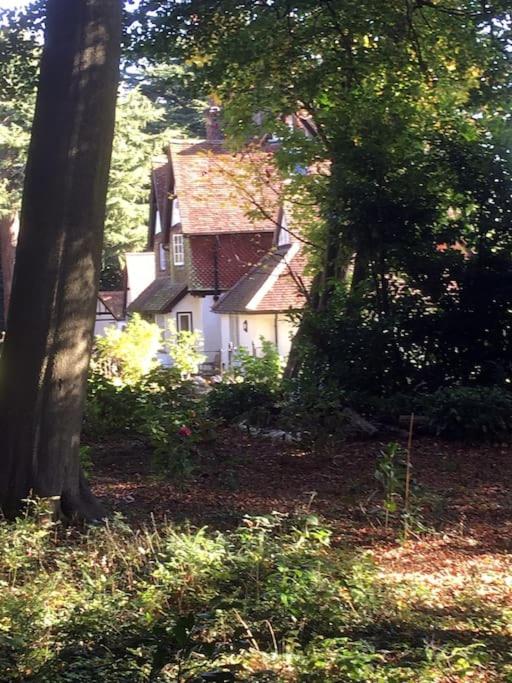 Highfield Lodge