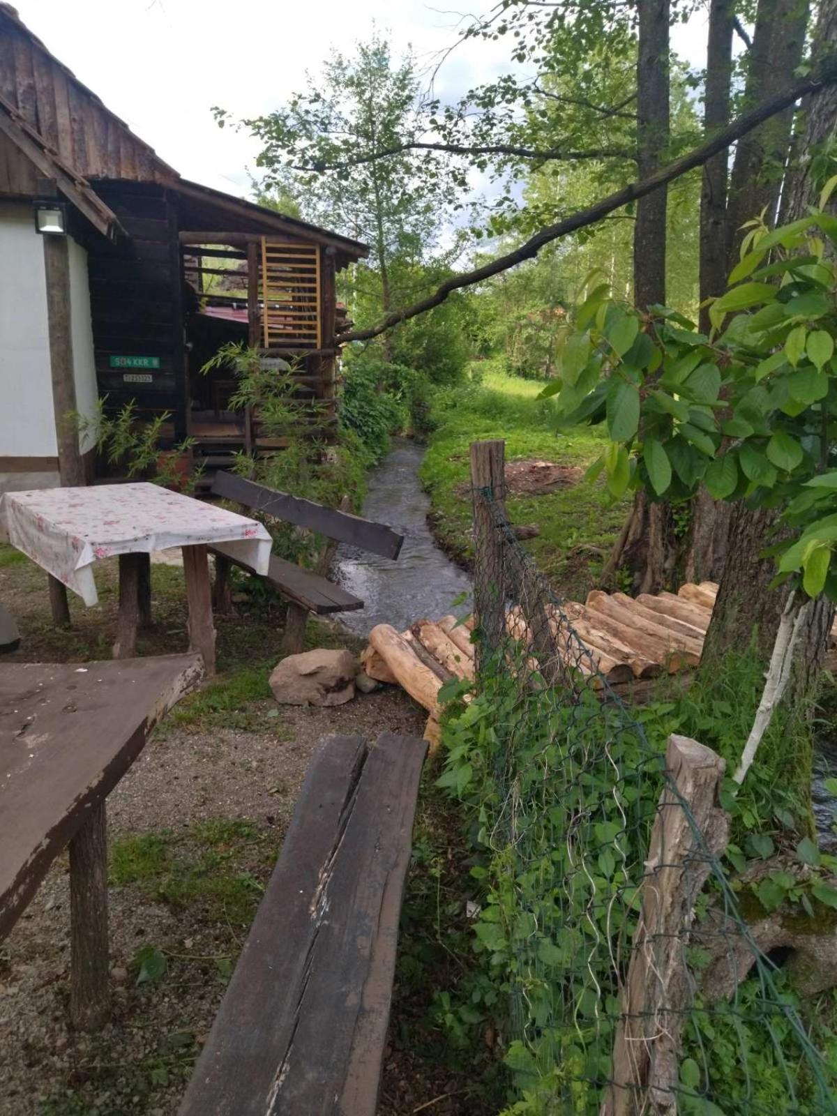 Mikin vajat i ribnjak Korenita, Loznica view 5