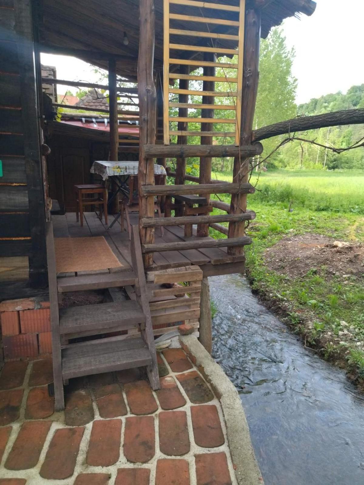 Photo 8