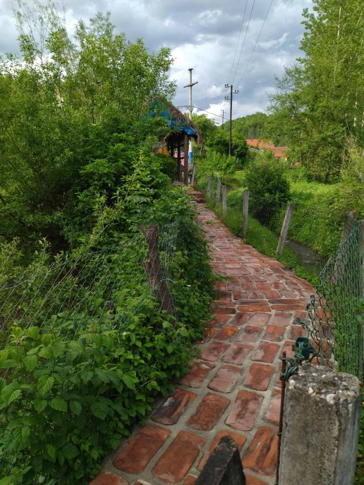 Photo 9