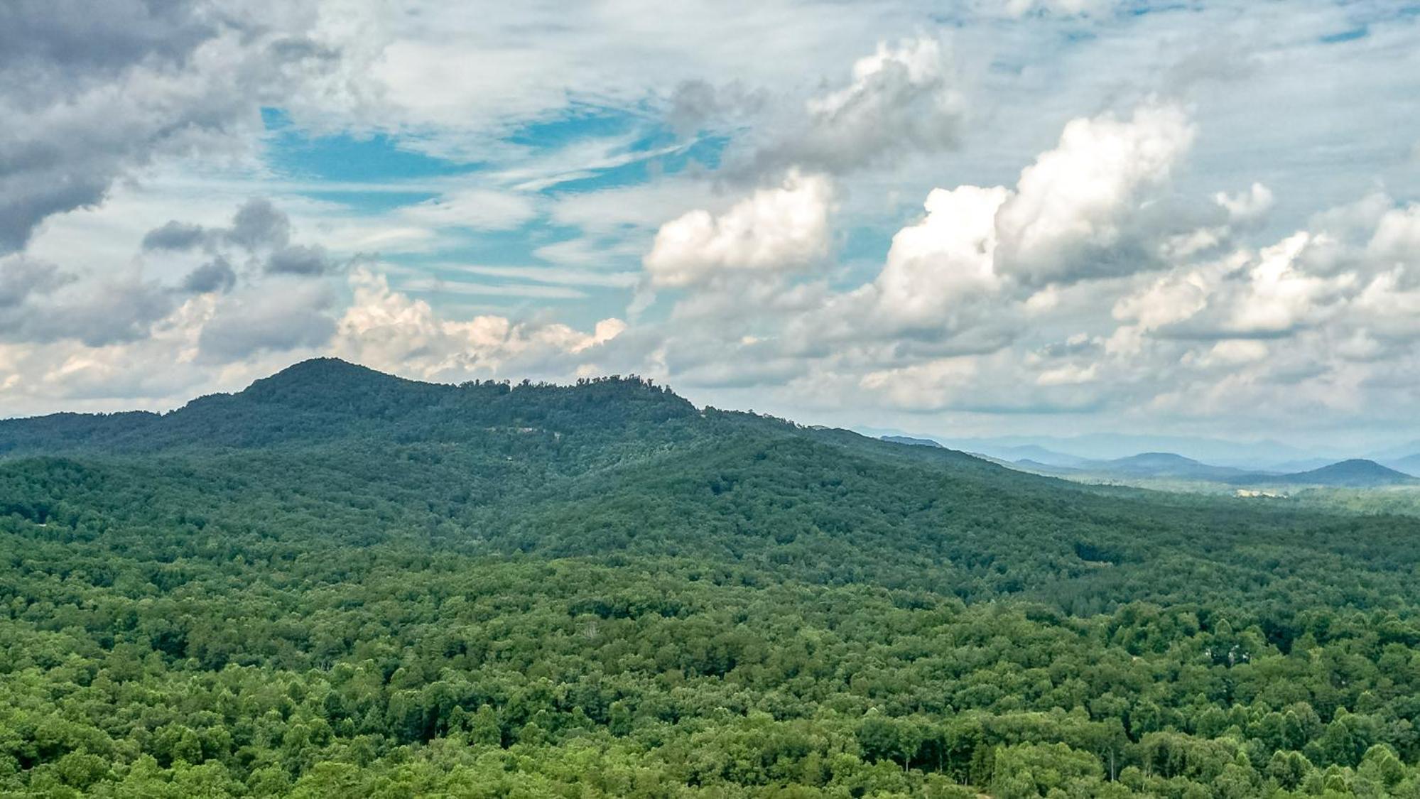 The High Life LONG RANGE VIEWS OF THE BLUE RIDGE MOUNTAINS view 5