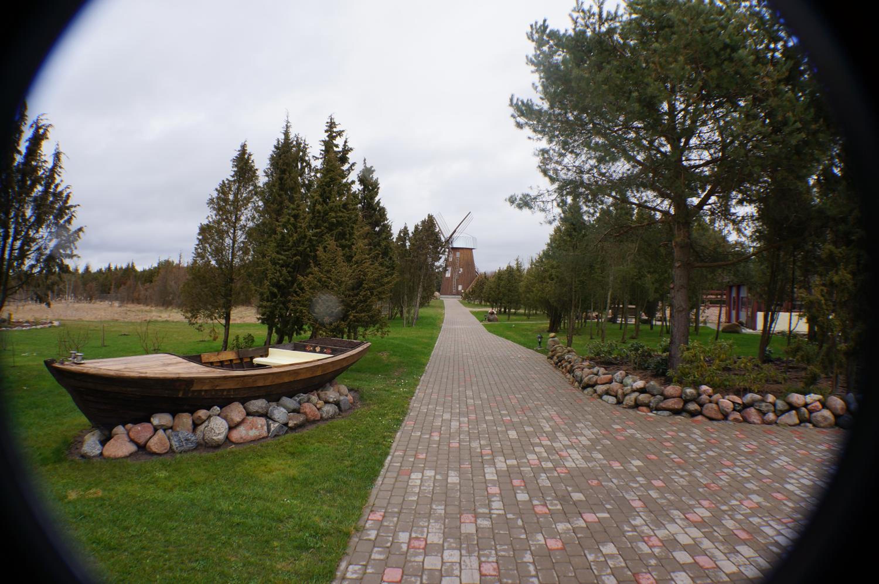 Photo 41