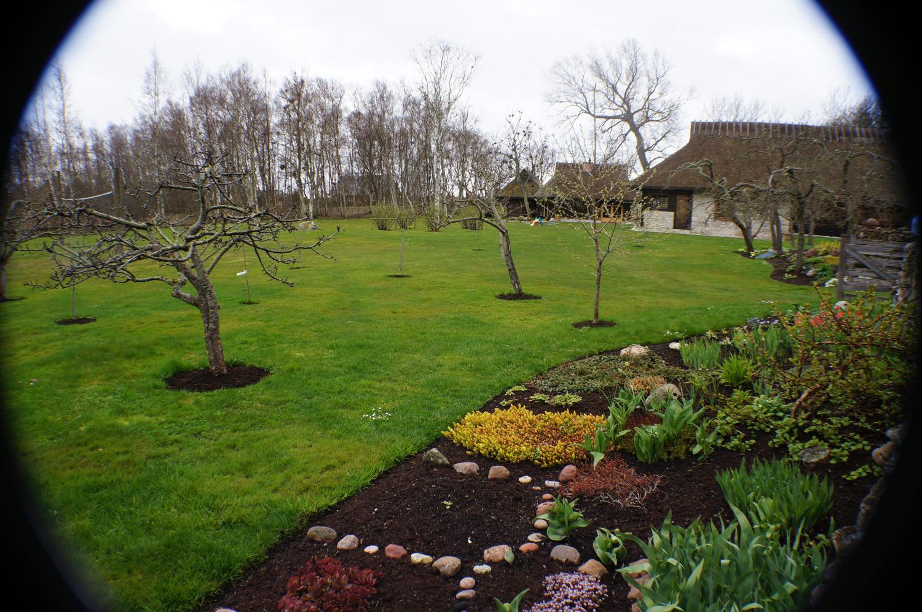 Photo 42