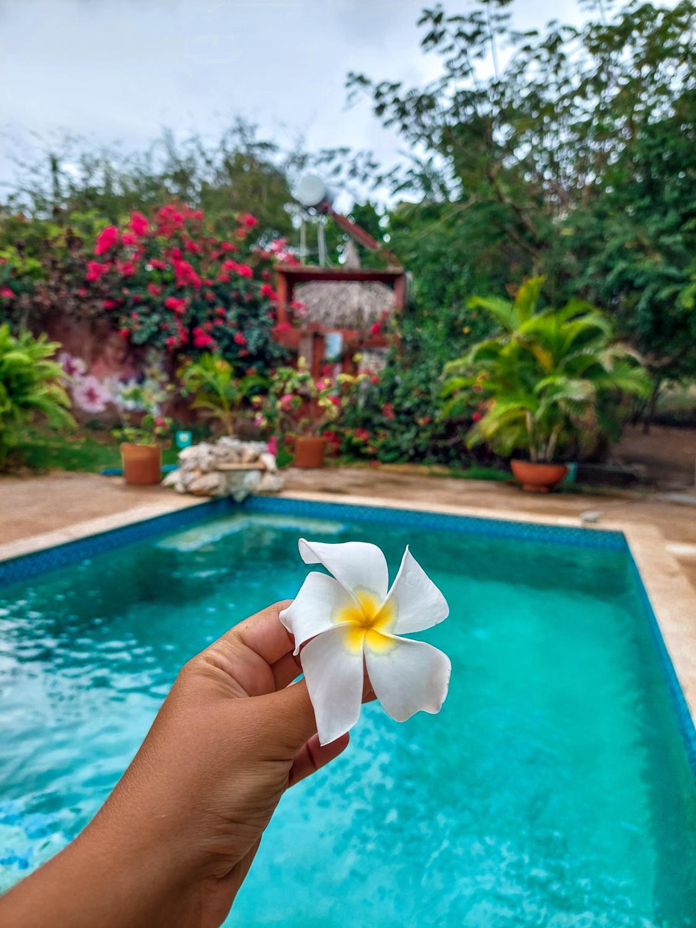 Mondi Lodge