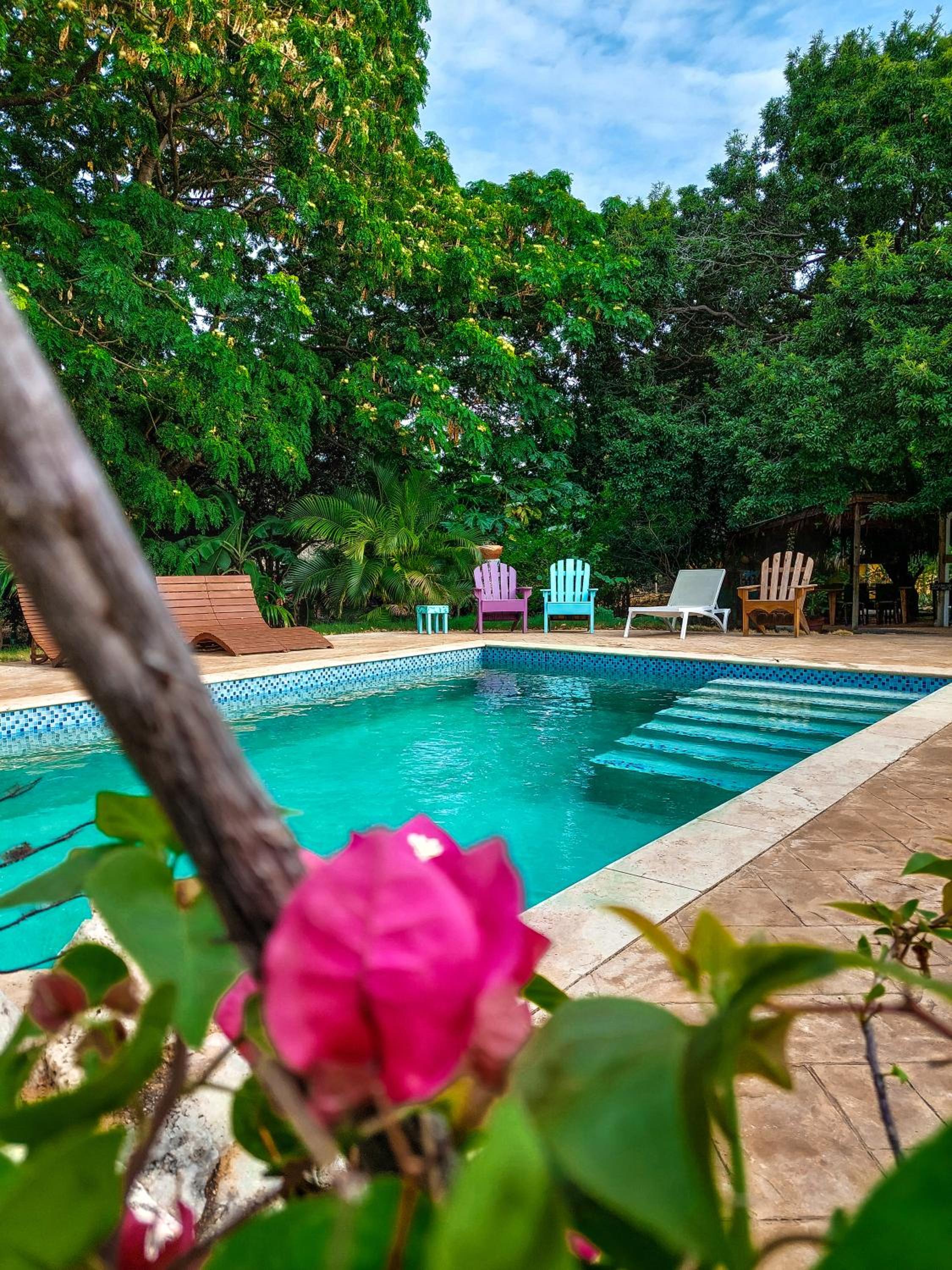 Mondi Lodge