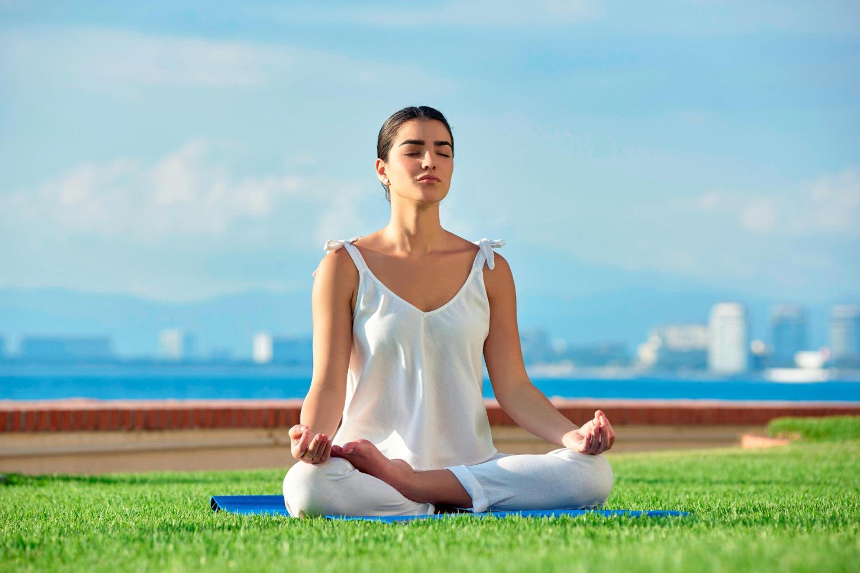 Puerto Vallarta Vacations - Sheraton Buganvilias Resort  Convention Center - Property Image 167