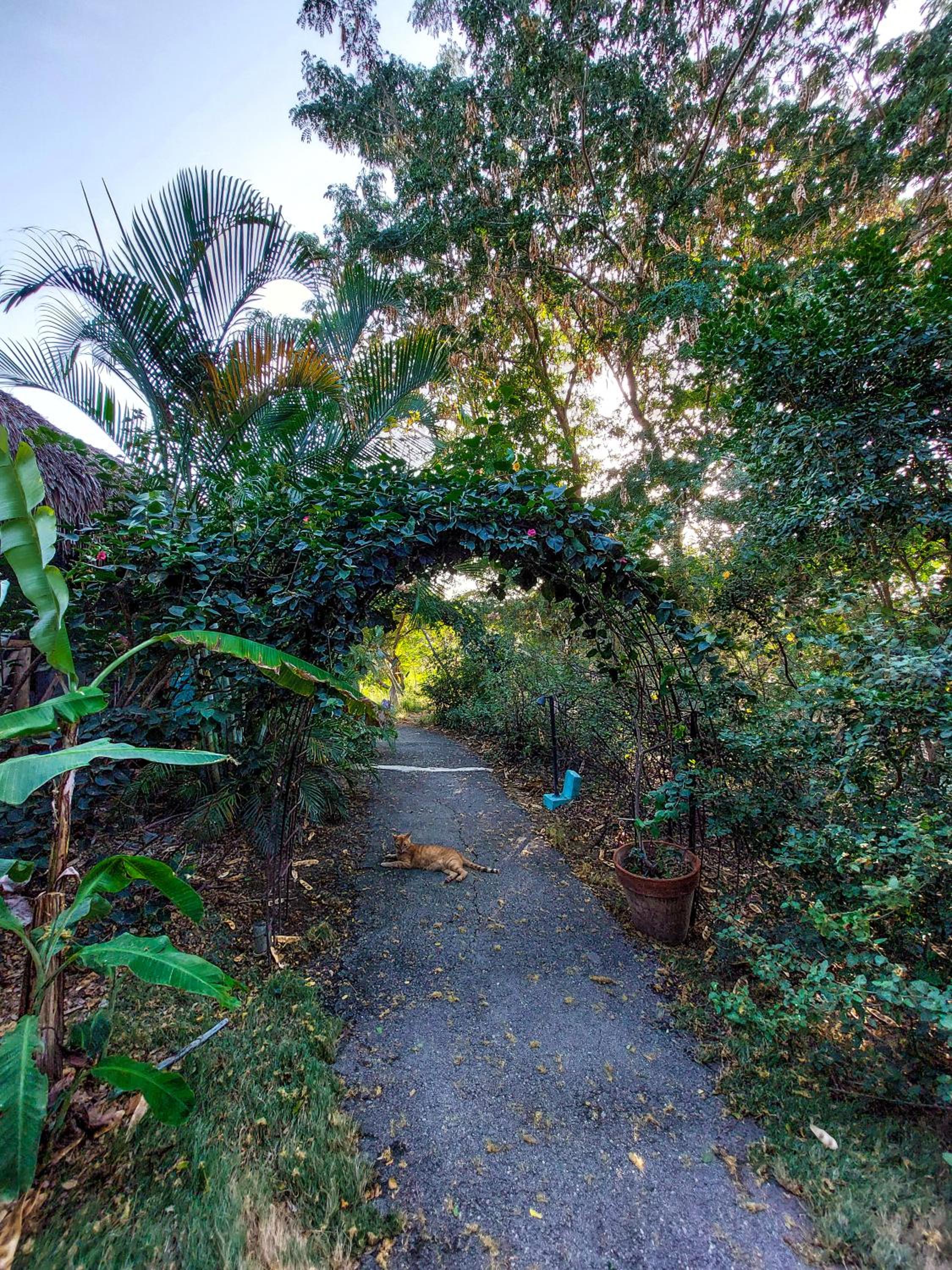 Mondi Lodge