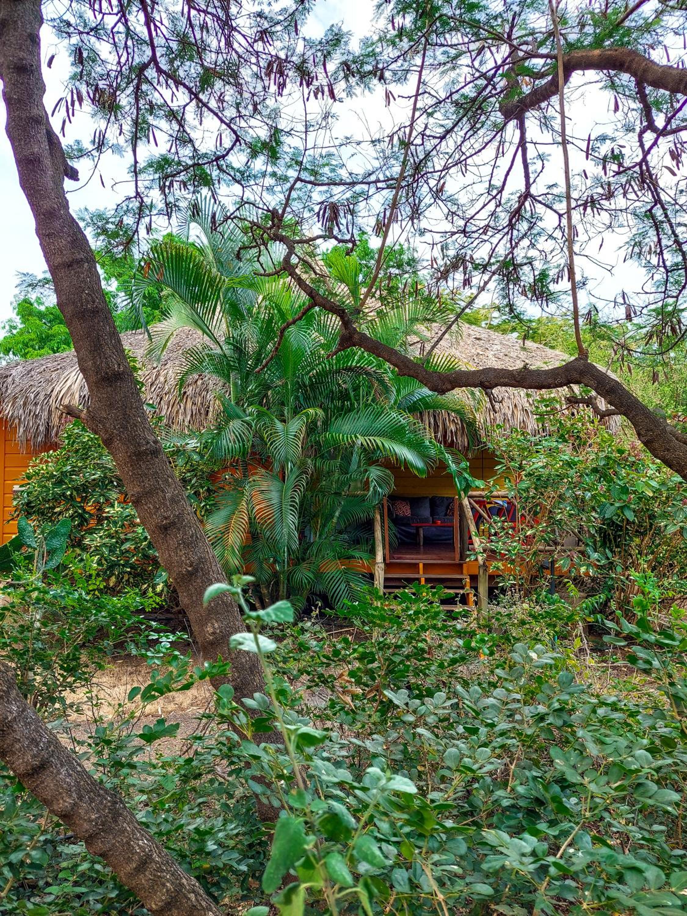 Mondi Lodge