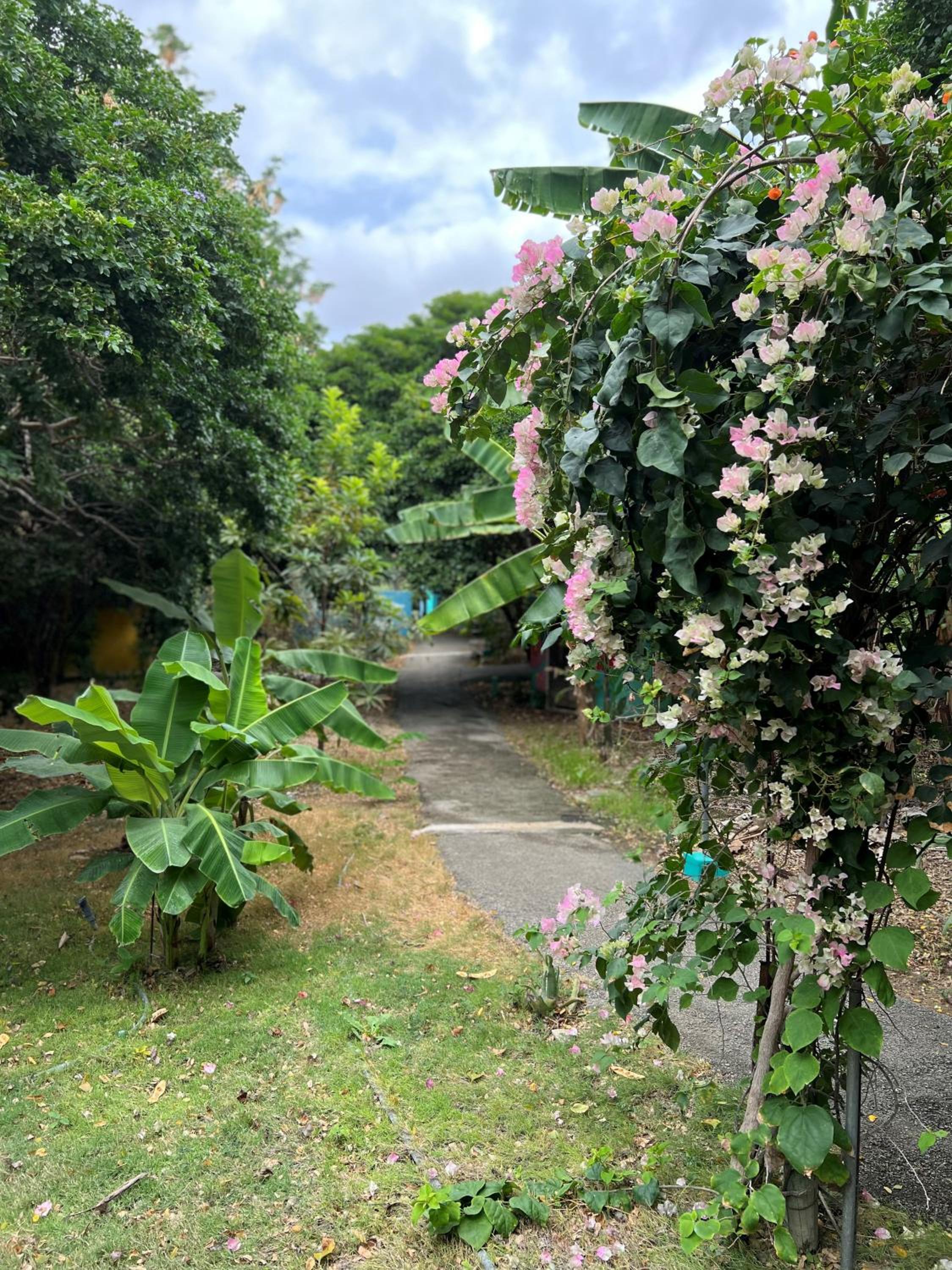 Mondi Lodge