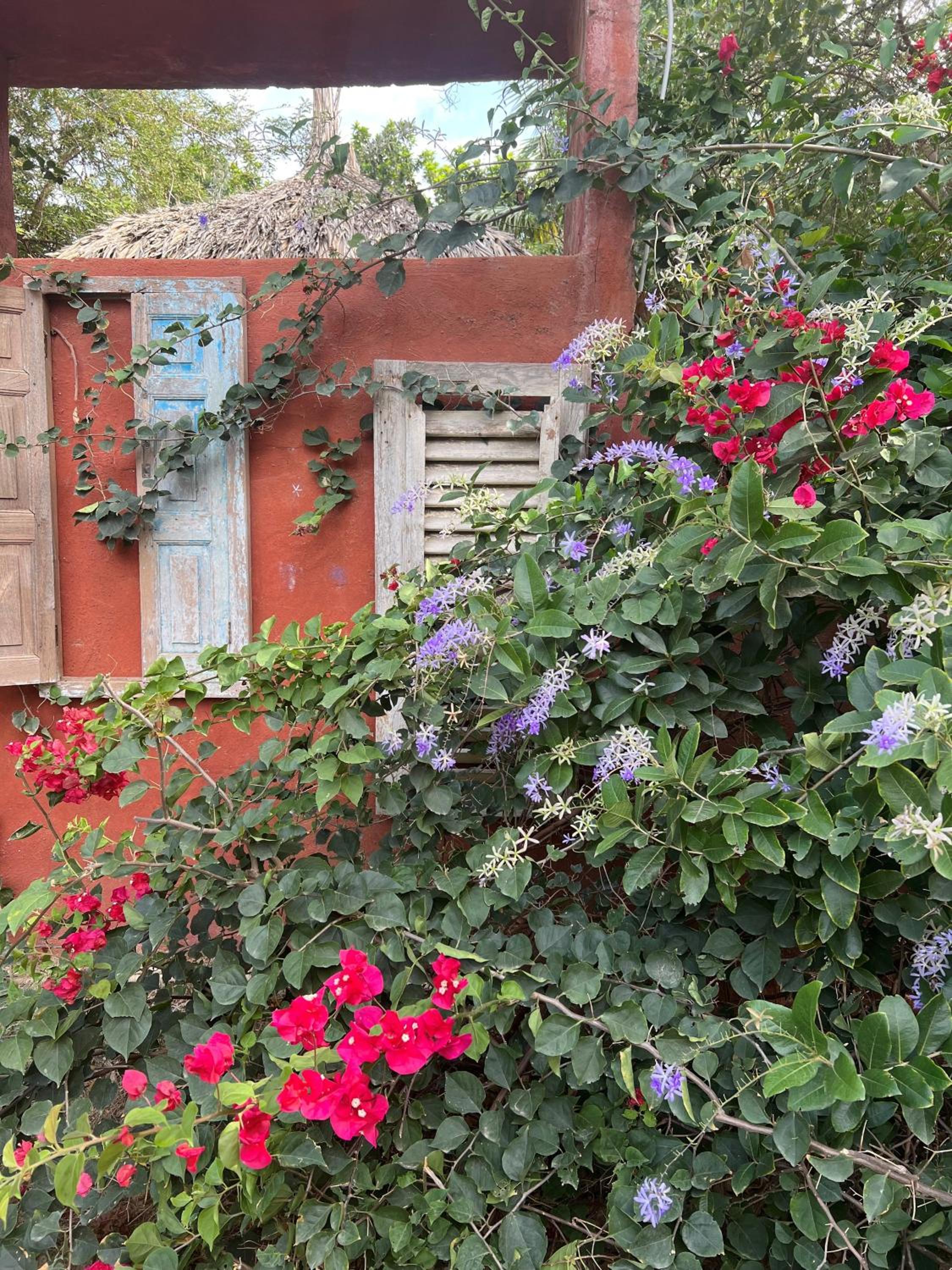 Mondi Lodge