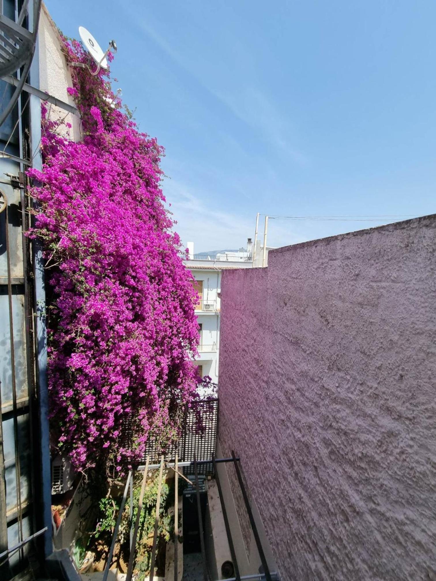 Canto-Home Alongside The Acropolis