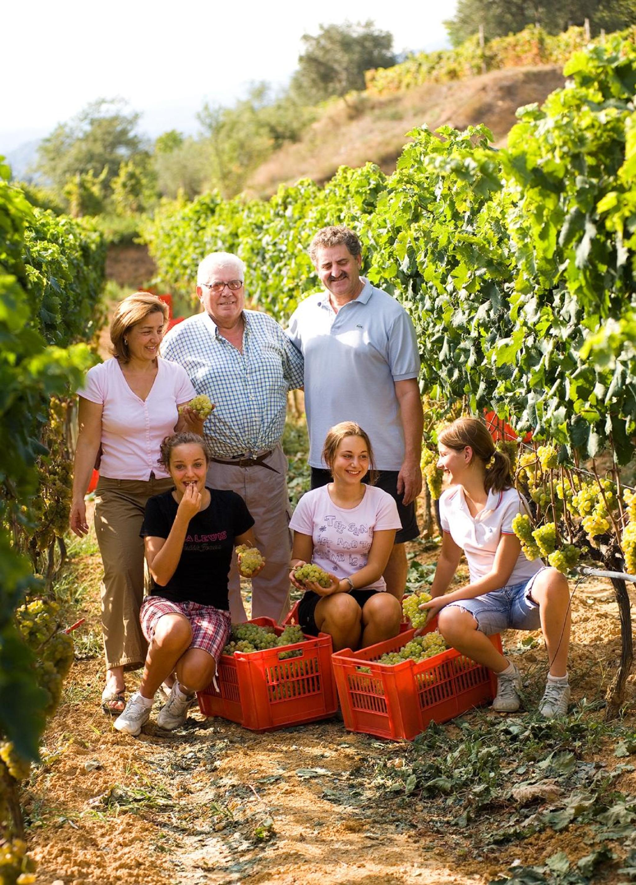 Agriturismo del Pigato - Bio Vio view 2