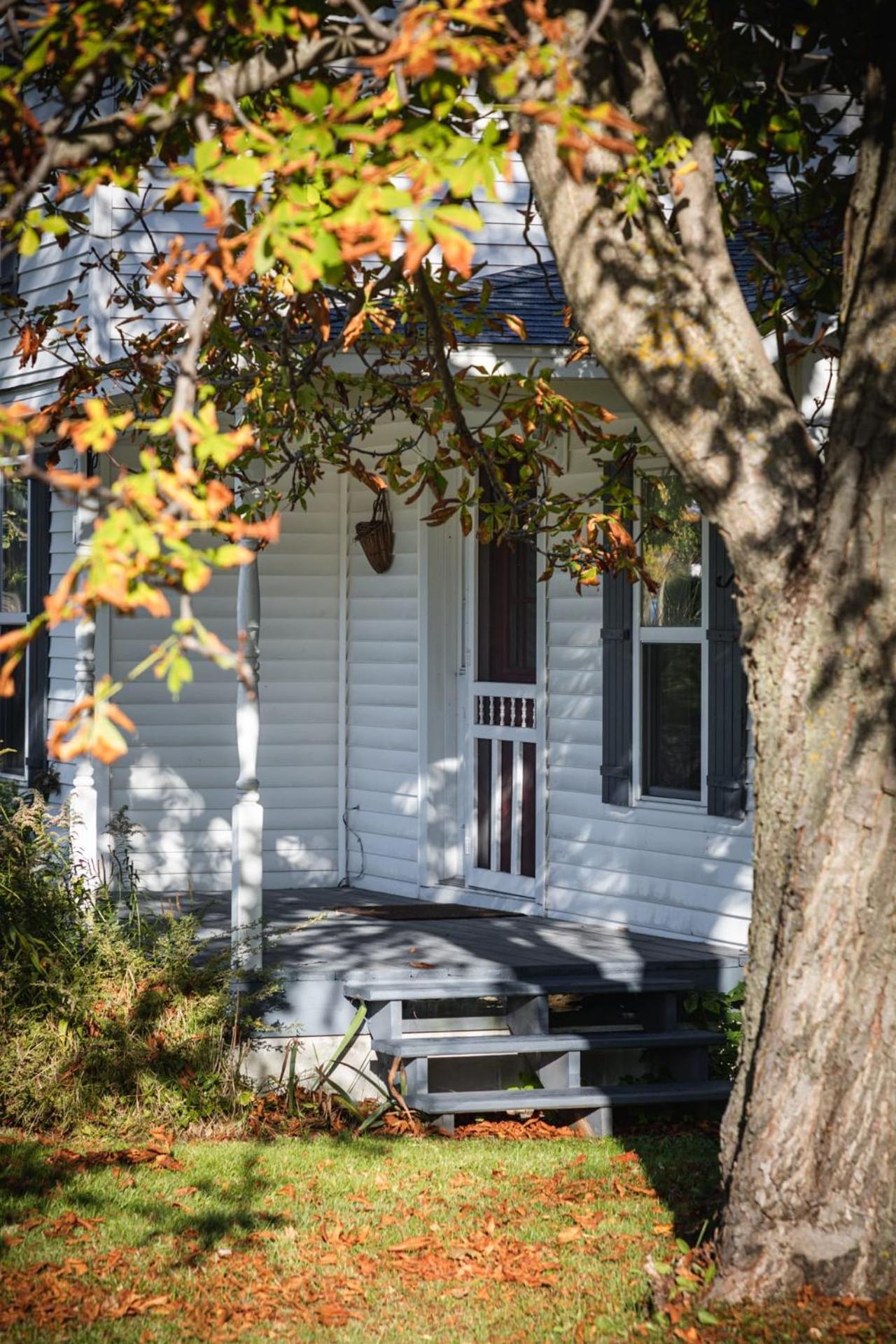 Ames Cottage Elk Rapids view 2