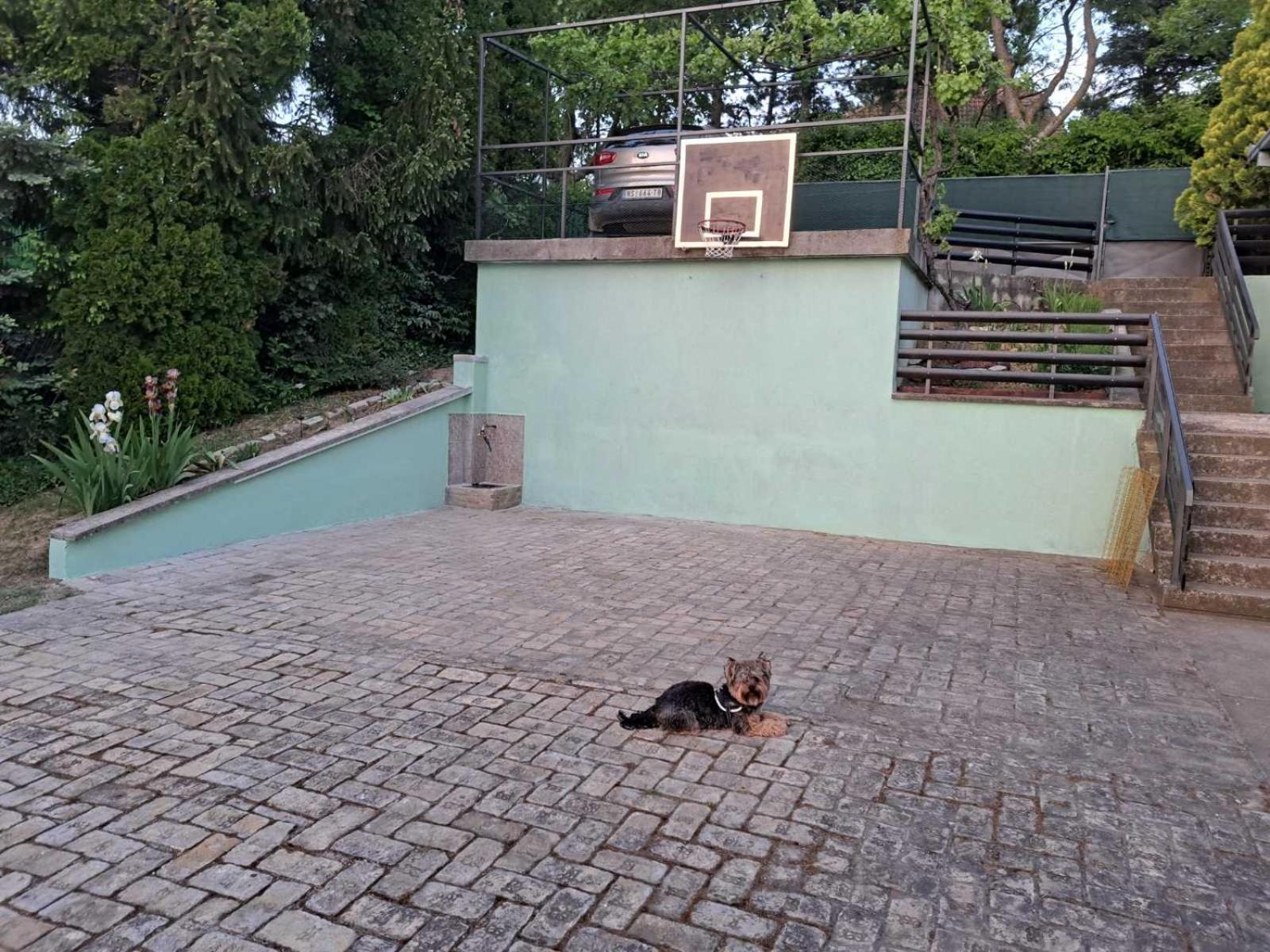 Photo 22
