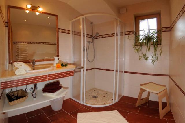 Appartement Zechmann Rohrmoos