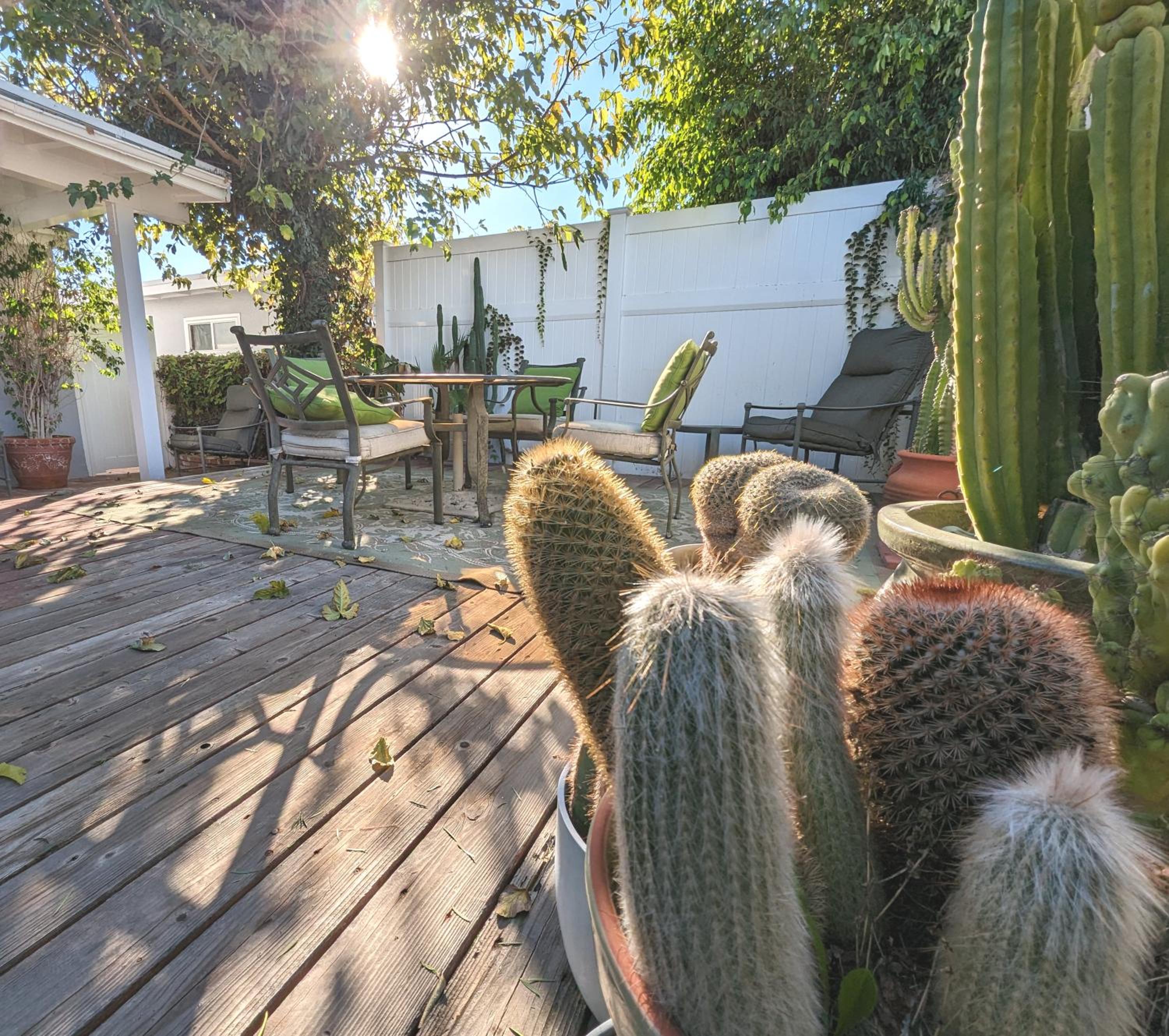 4 BR Encino Home w/ Amazing Yard, Near Everything - Property Image 100