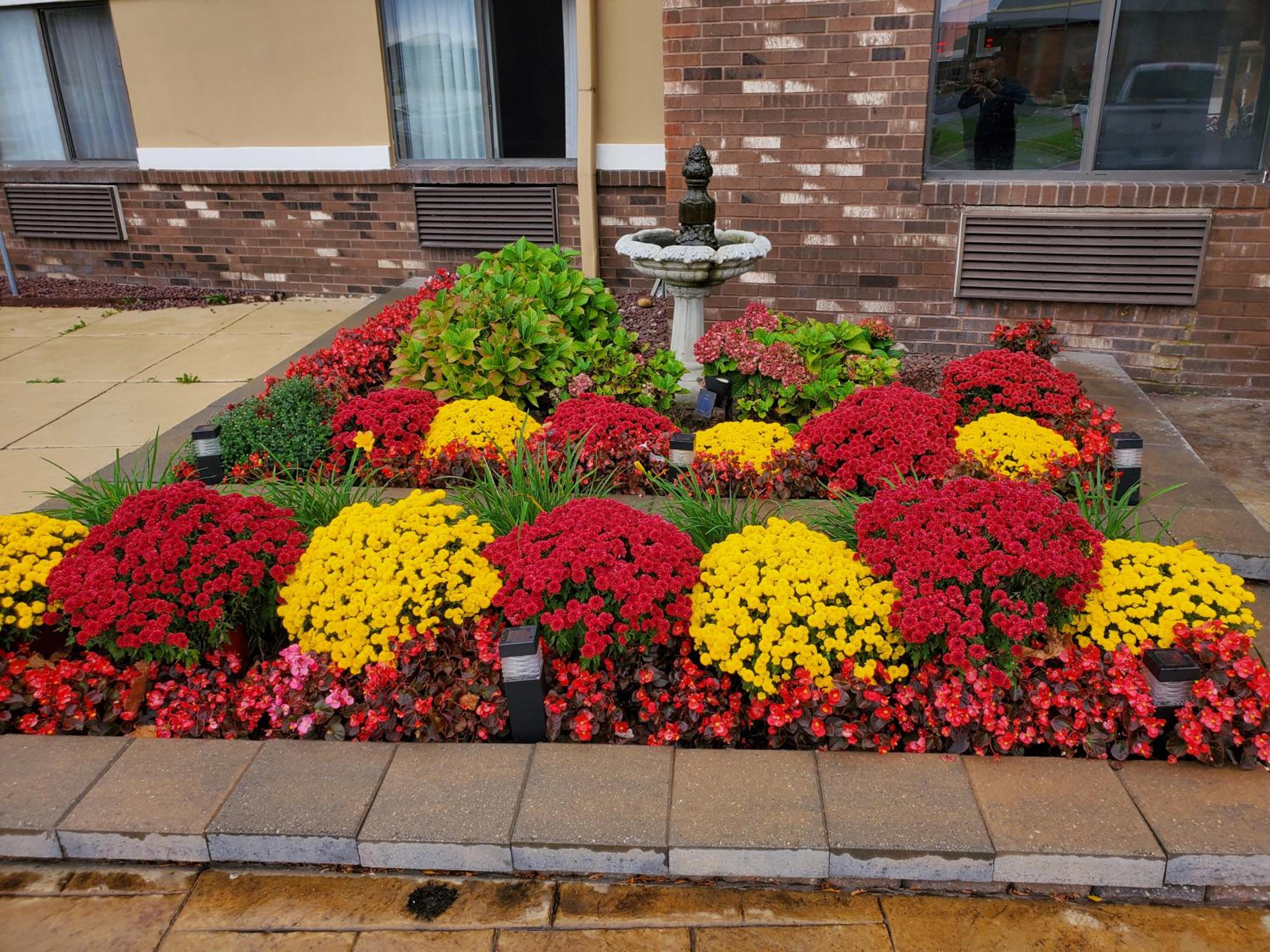 Detroit Vacations - Super 8 by Wyndham Sterling Heights/Detroit Area - Property Image 3