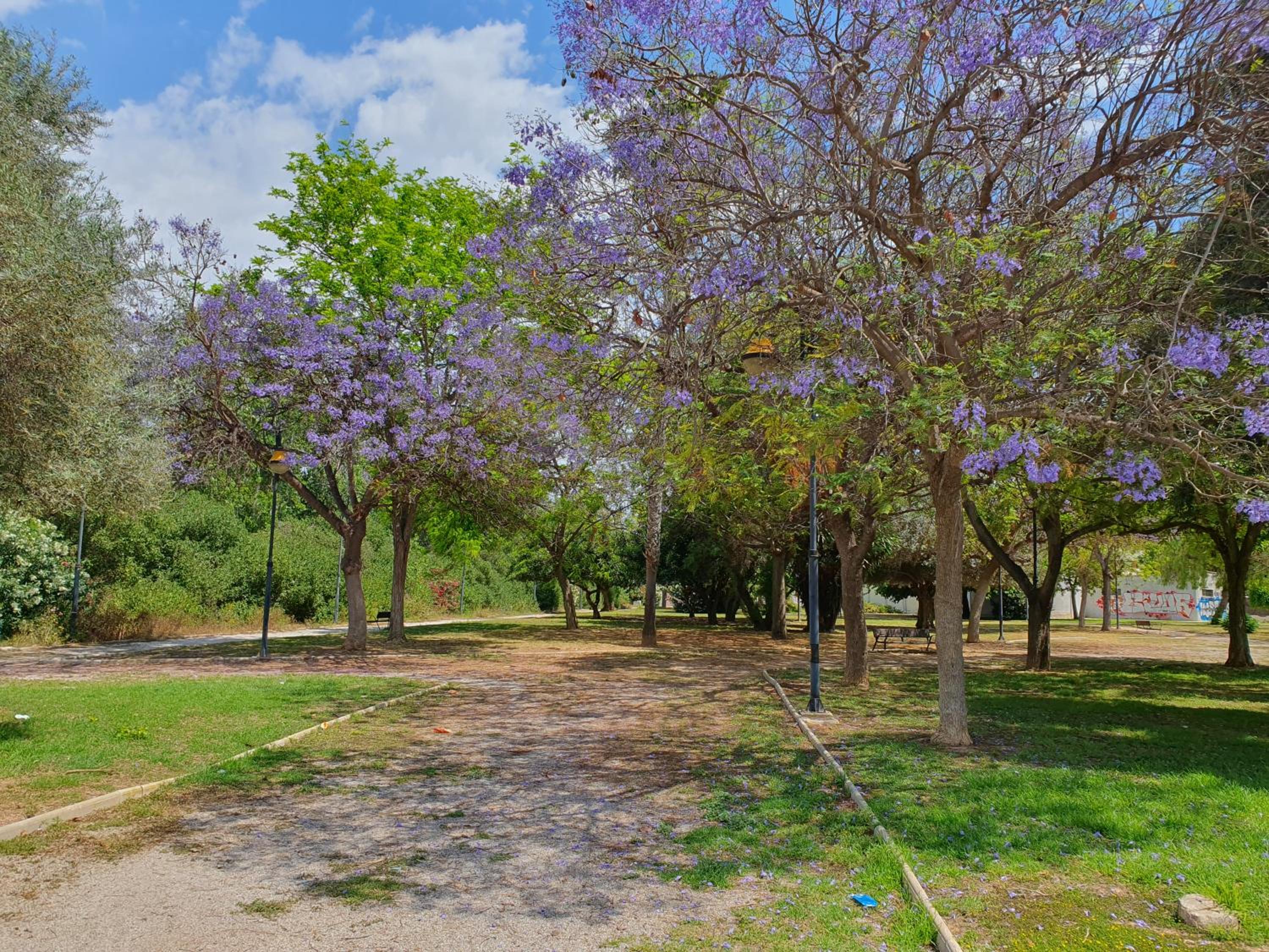 El.Paraiso, Torrevieja