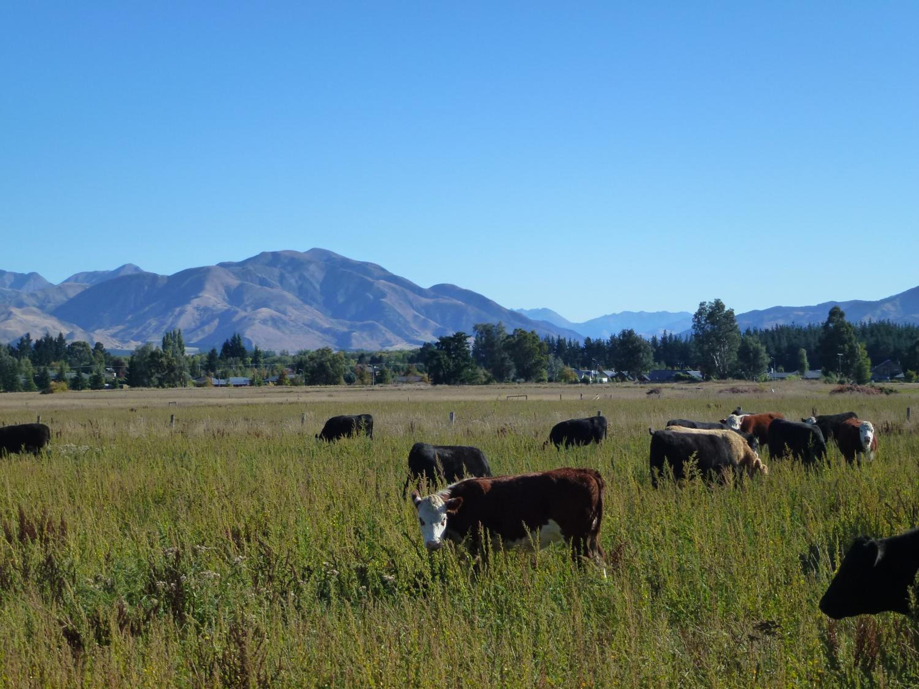 Hanmer Springs Scenic Views Motel