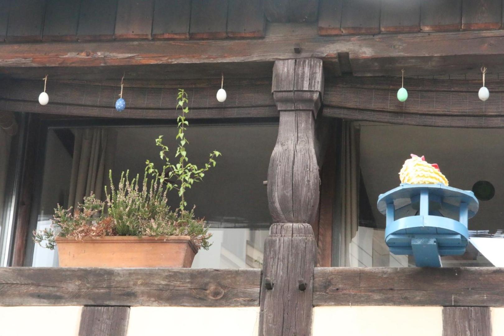 Gerberhaus Cottbus