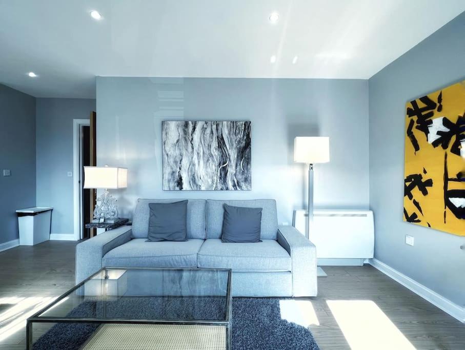 New luxurious and business APT view 4