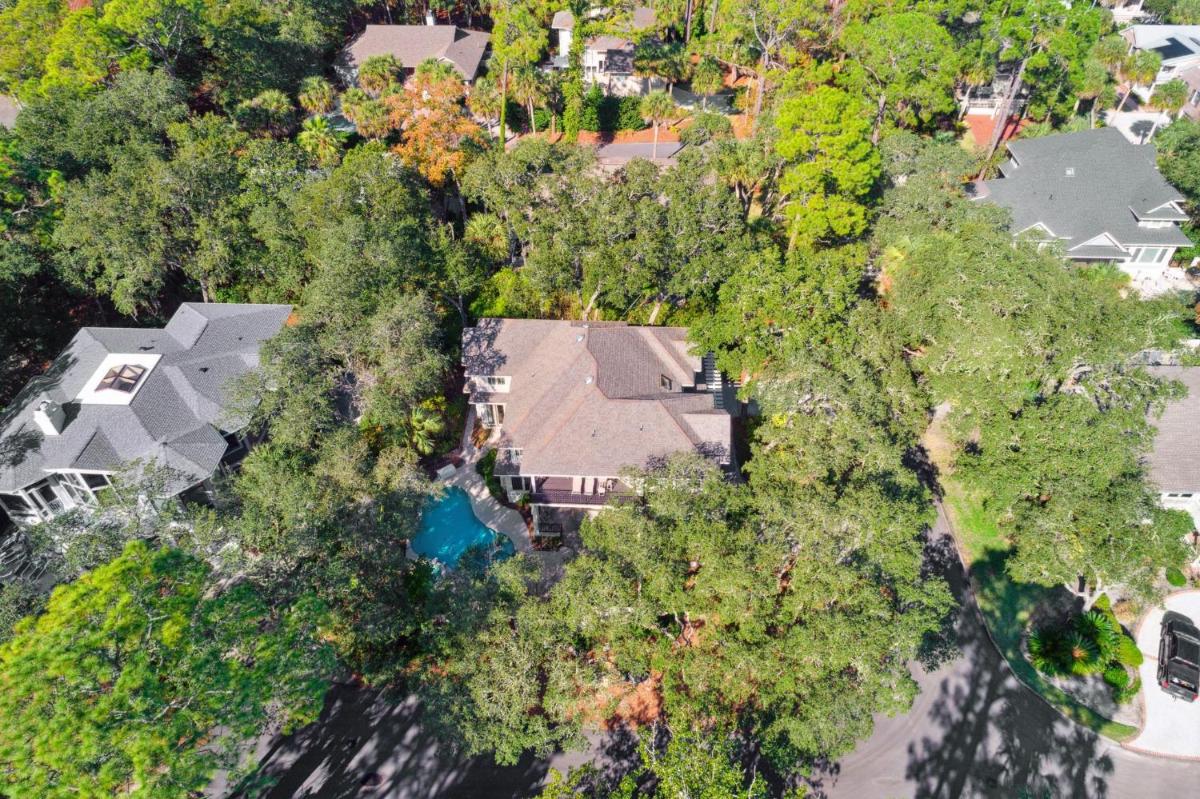 30 Ruddy Turnstone | Ruddy Retreat view 4