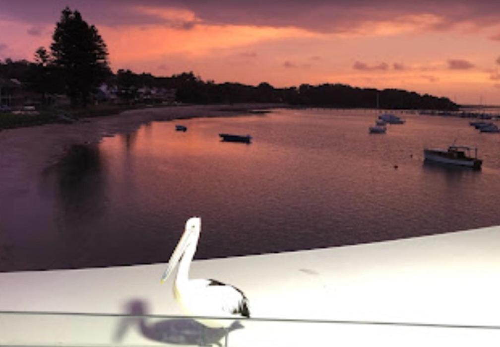 Tranquil Escape - Koala Hotspot - 2 Bed 2 Bath Apt Spectacular Sea Views