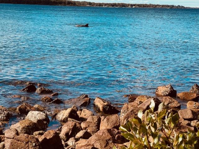 Tranquil Escape - Koala Hotspot - 2 Bed 2 Bath Apt Spectacular Sea Views