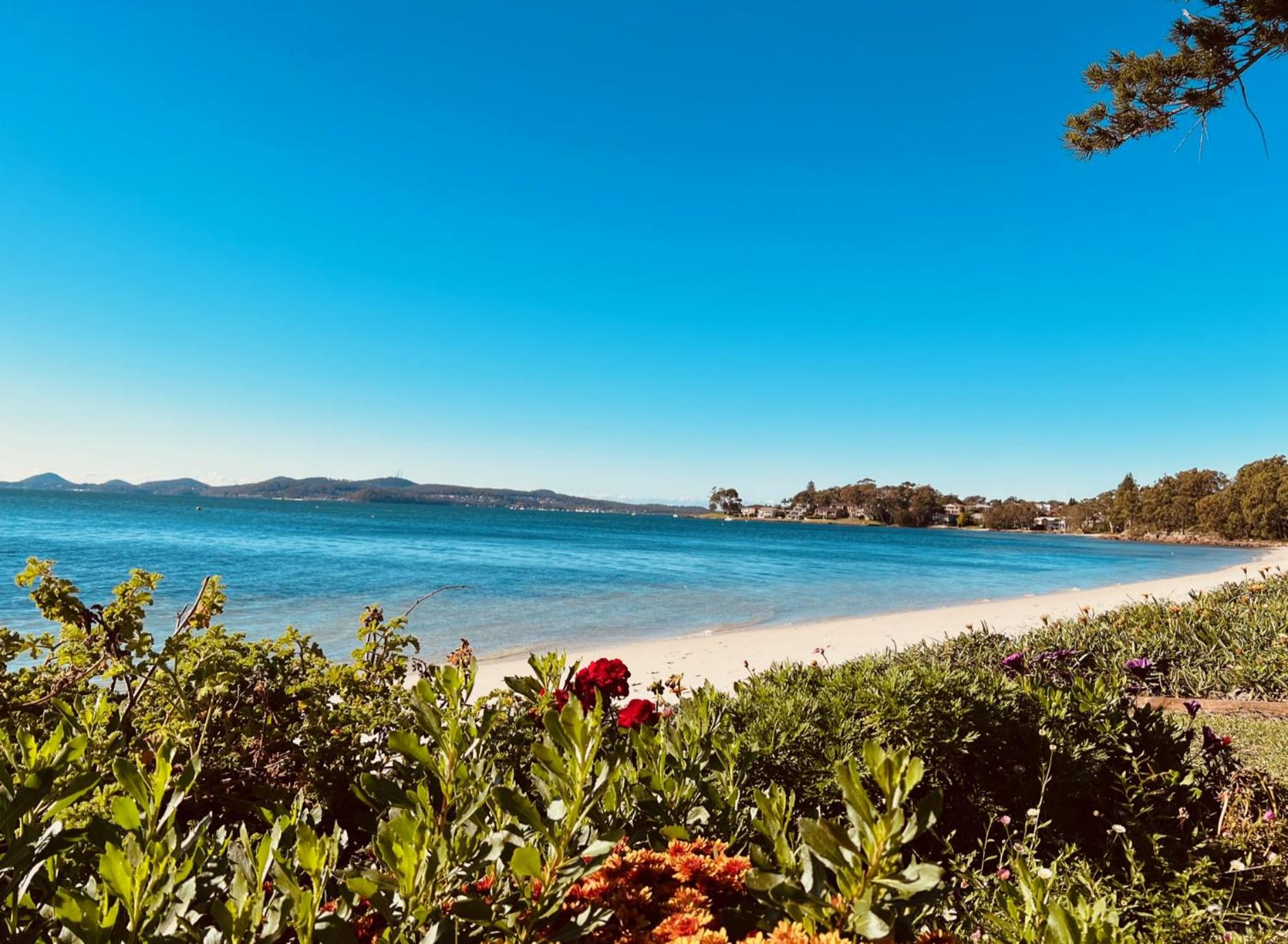 Tranquil Escape - Koala Hotspot - 2 Bed 2 Bath Apt Spectacular Sea Views