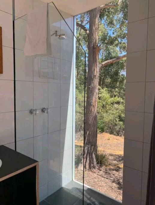 Francis Lane Tiny Studio