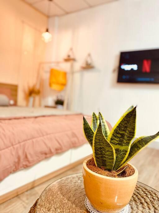 Lagom studio 18 - đẹp và yên bình, kế bên dinh độc lâp, nhà thờ Đức Bà, đường Nguyễn Du, phường Bến Nghé, Quận 1